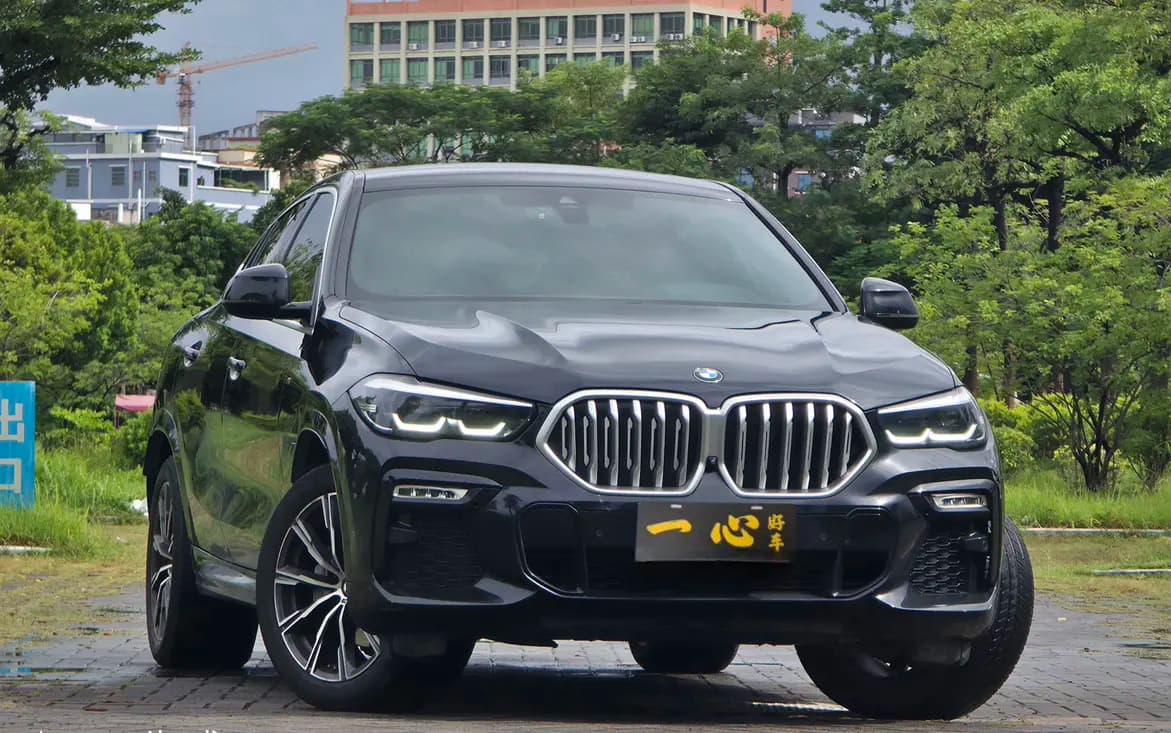 BMW X6 2021 г. 80120 км. — фото 3