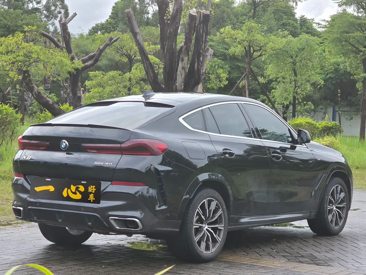 BMW X6 2021 г. 80120 км. — фото 6