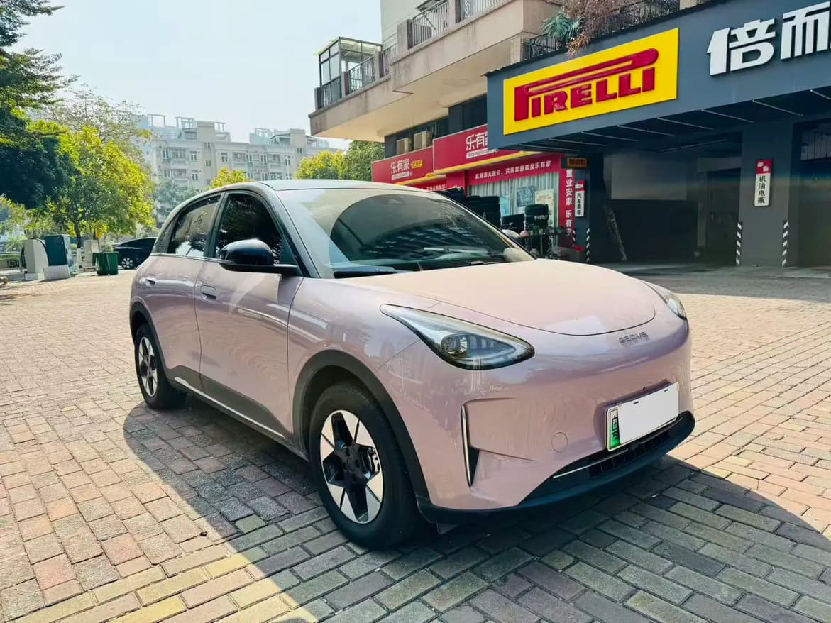 Geely Star Wish 2024 г. 11127 км. — фото 2