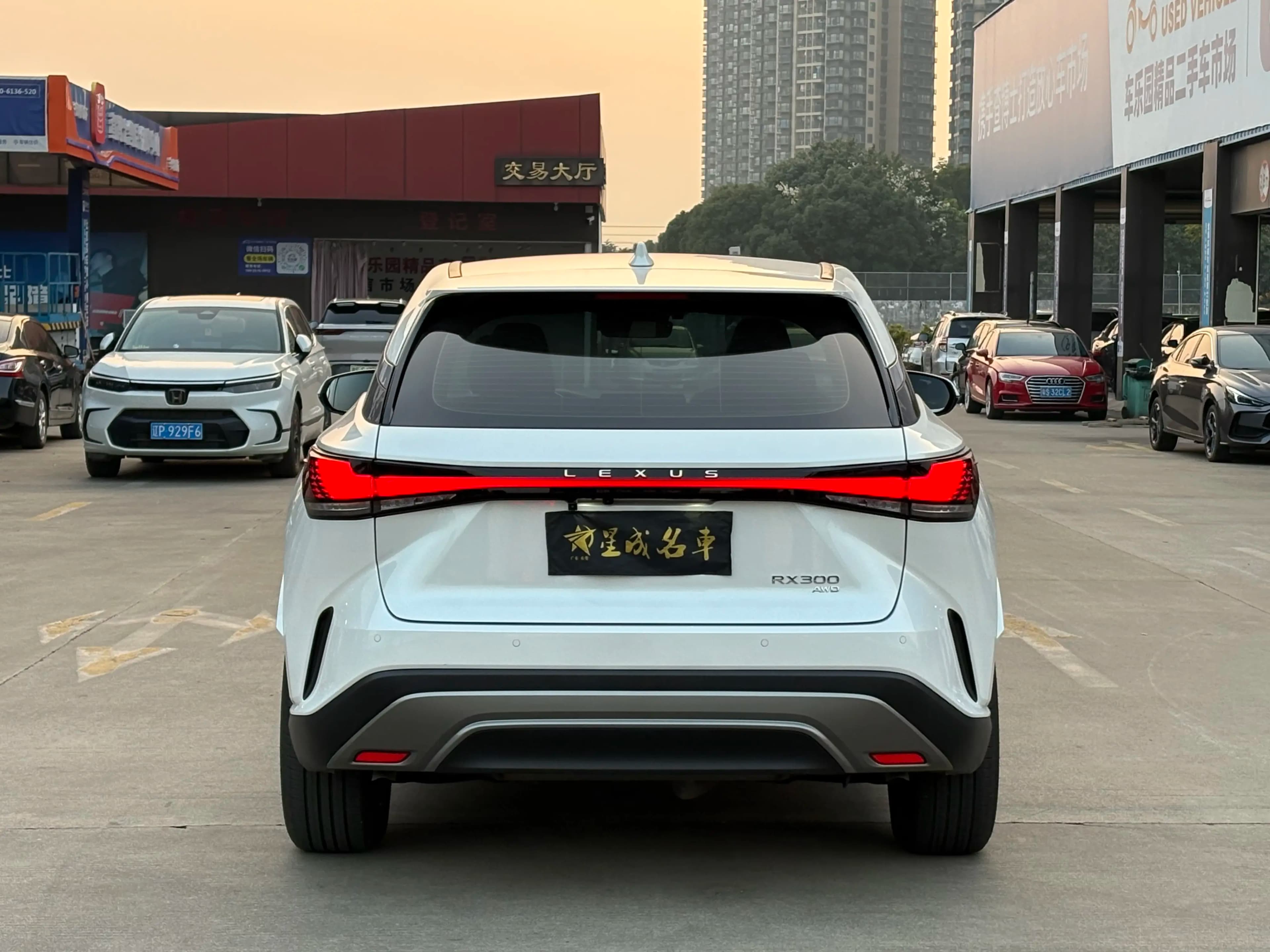 Lexus RX 2025 г. 8868 км. — фото 5