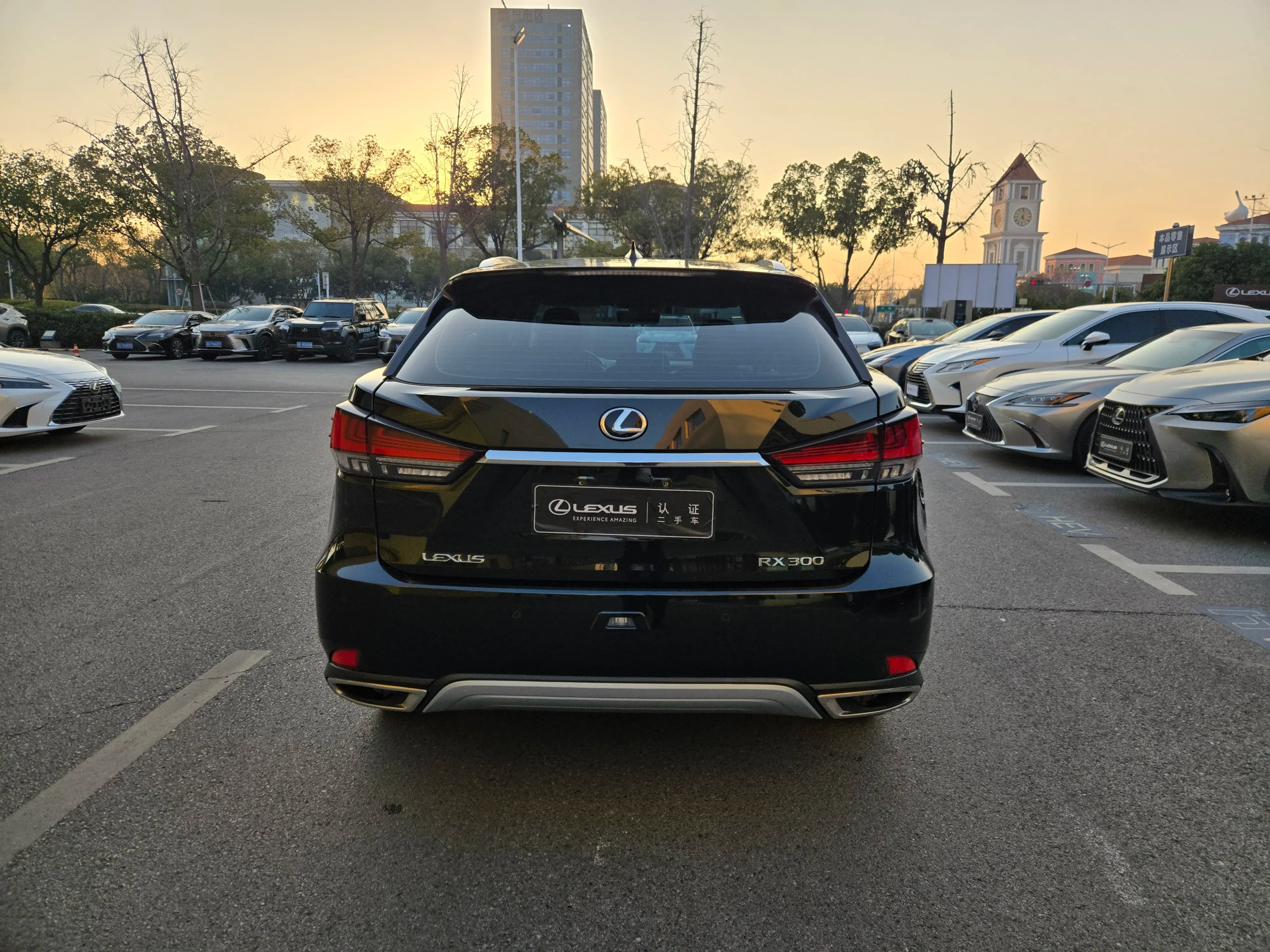 Lexus RX 2021 г. 57066 км. — фото 5