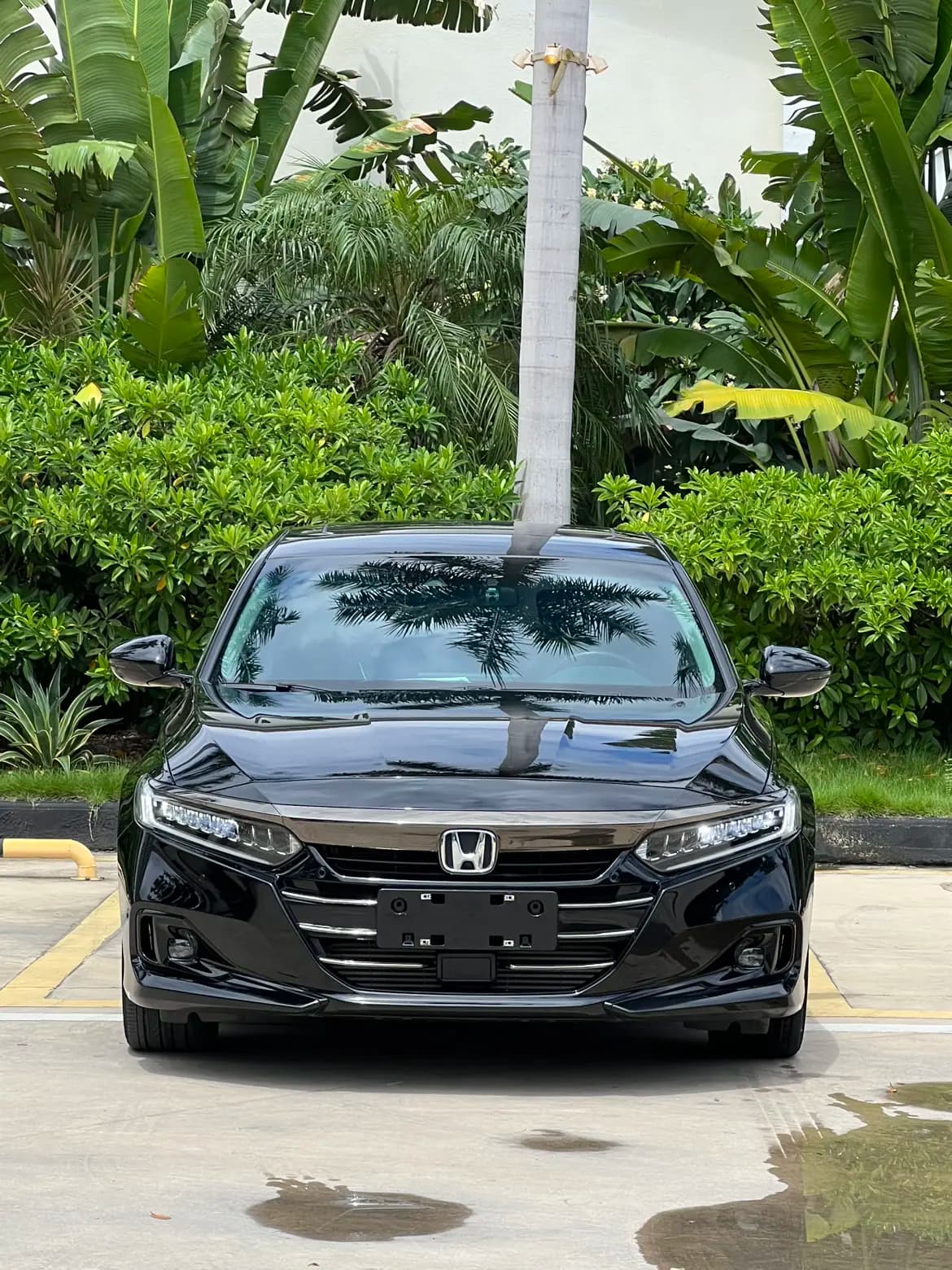 Honda Accord 2022 г. 36116 км. — фото 2
