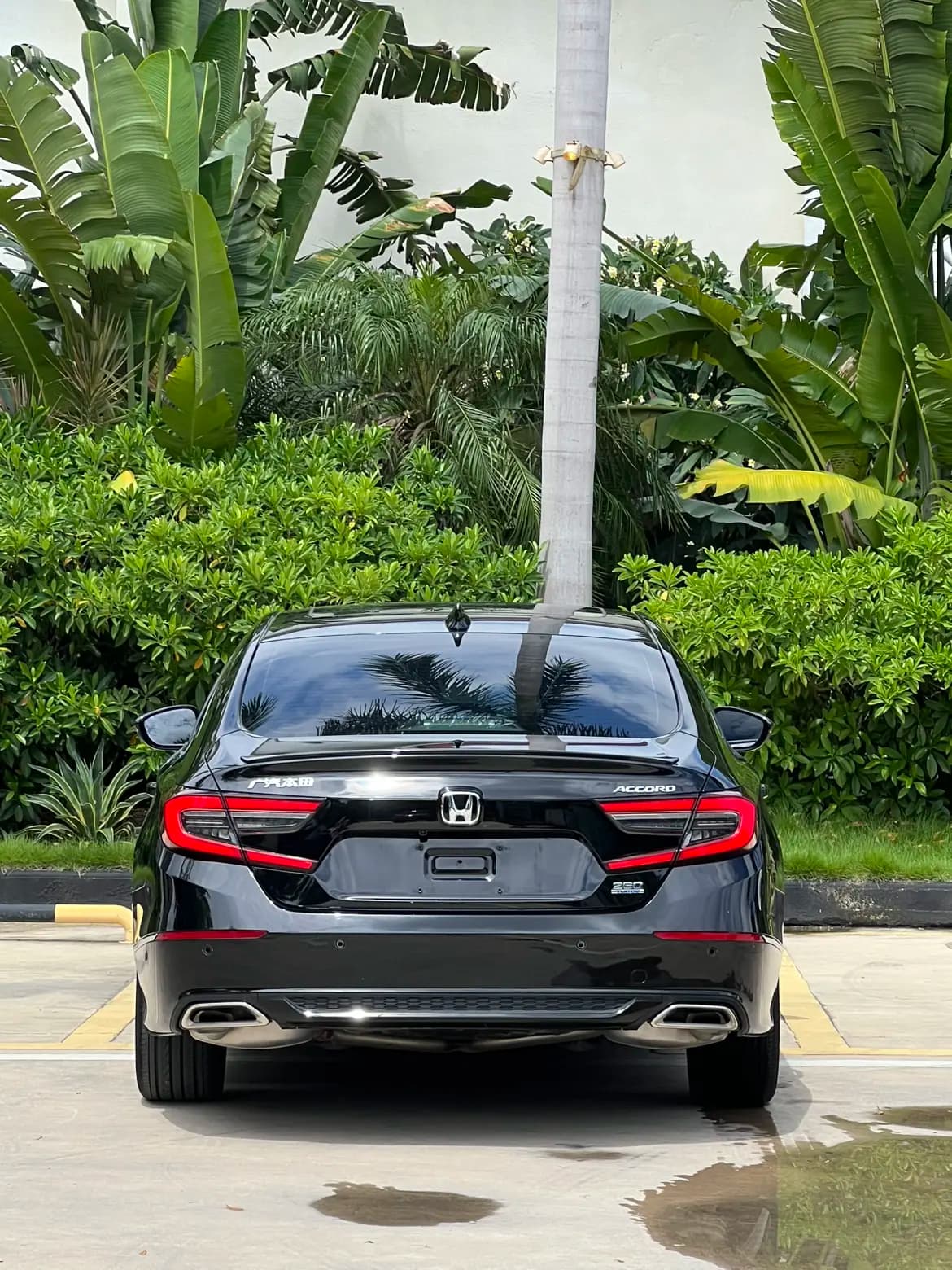 Honda Accord 2022 г. 36116 км. — фото 5