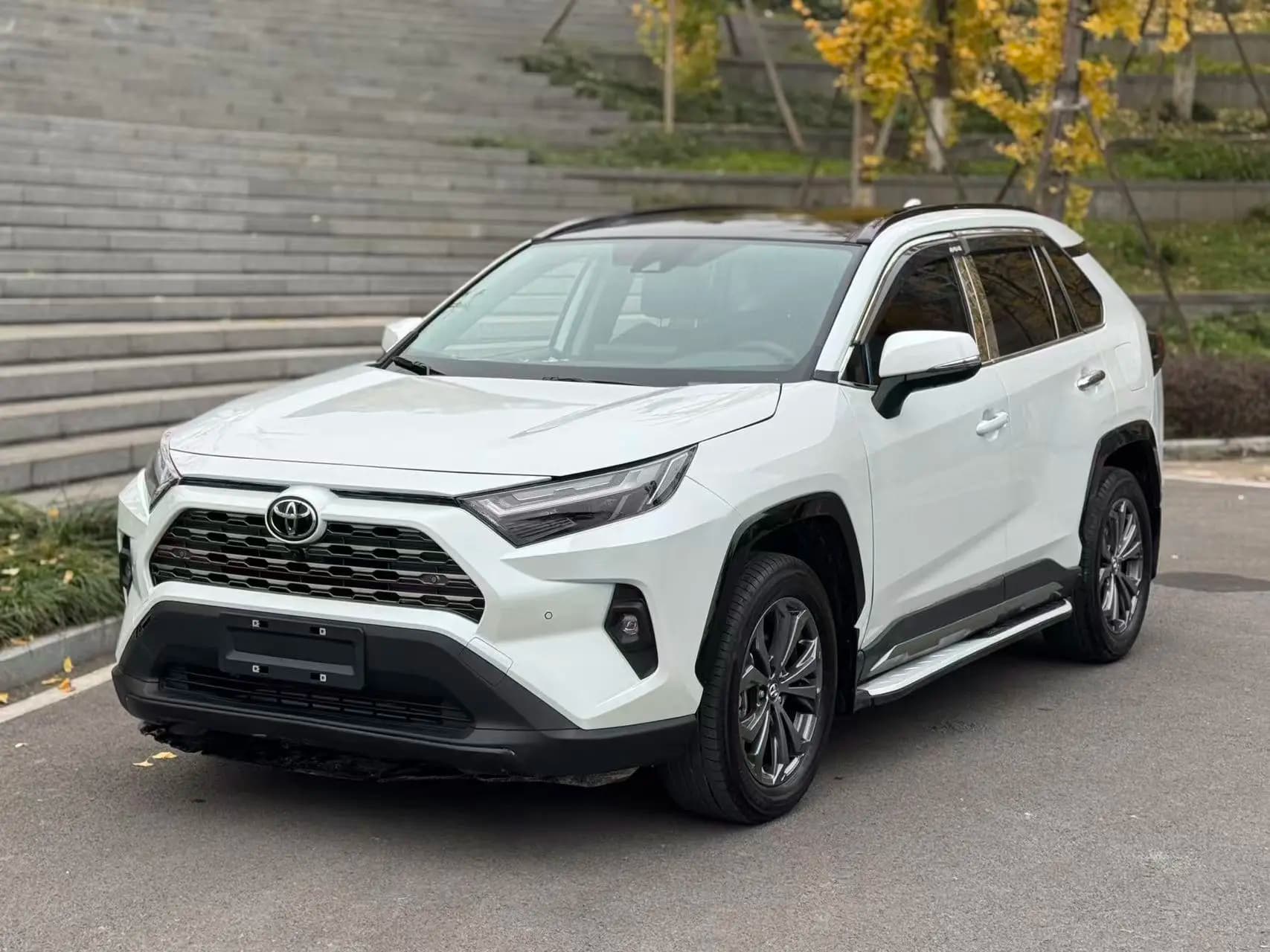 Toyota RAV4 2025 г. 4820 км.