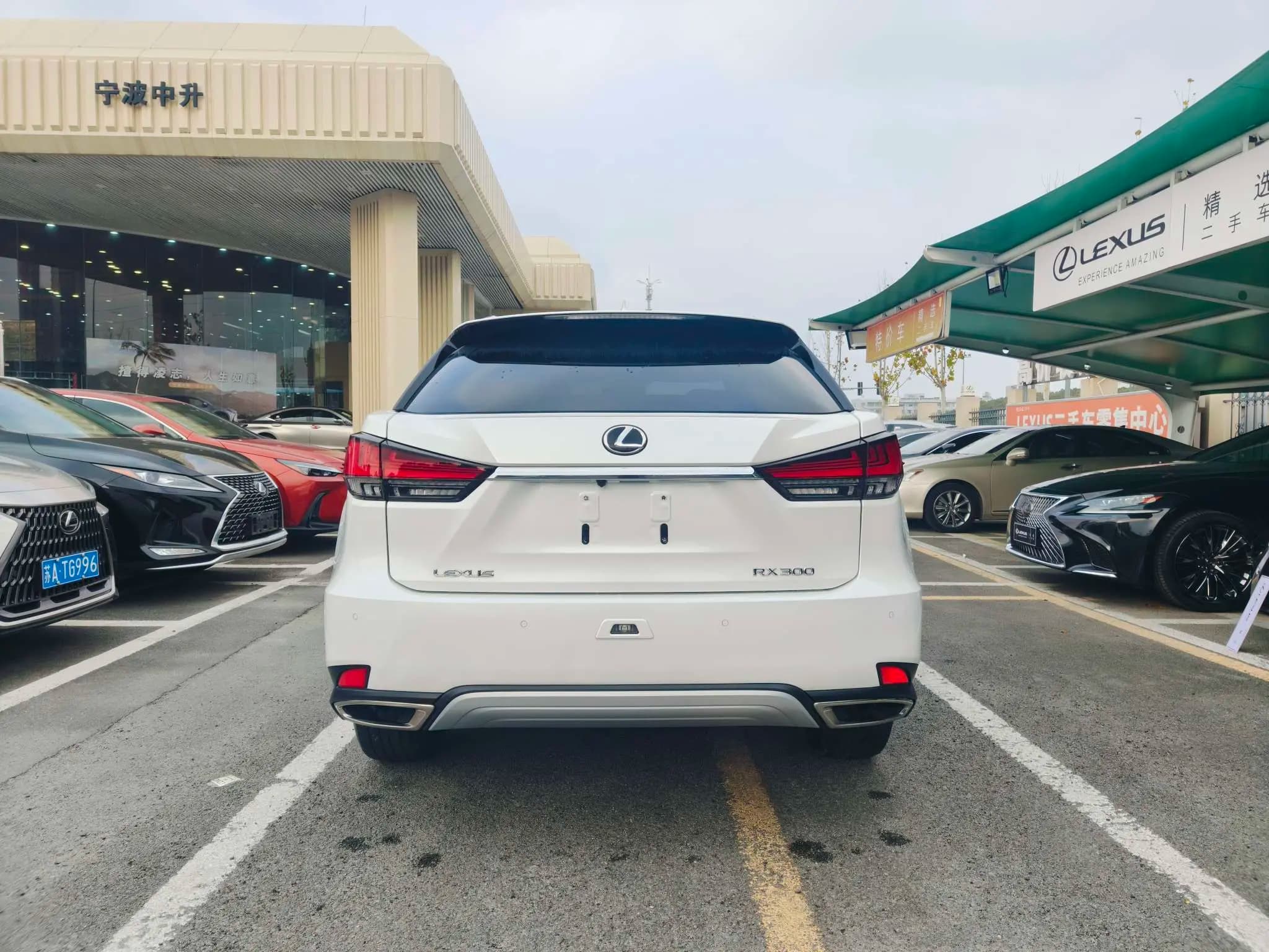 Lexus RX 2022 г. 40036 км. — фото 5