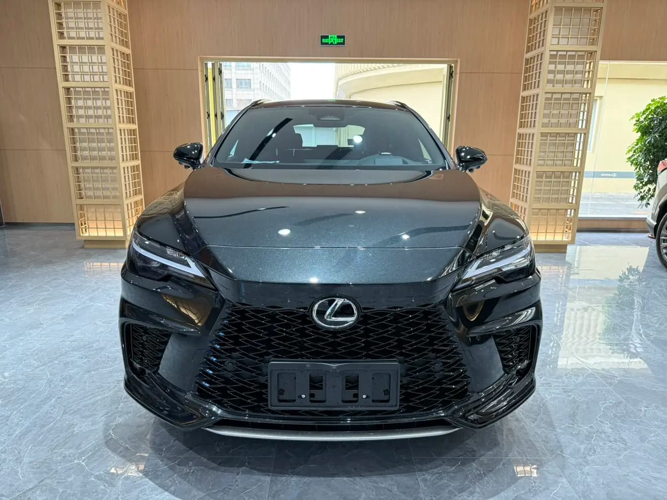 Lexus RX 2025 г. 4928 км. — фото 2