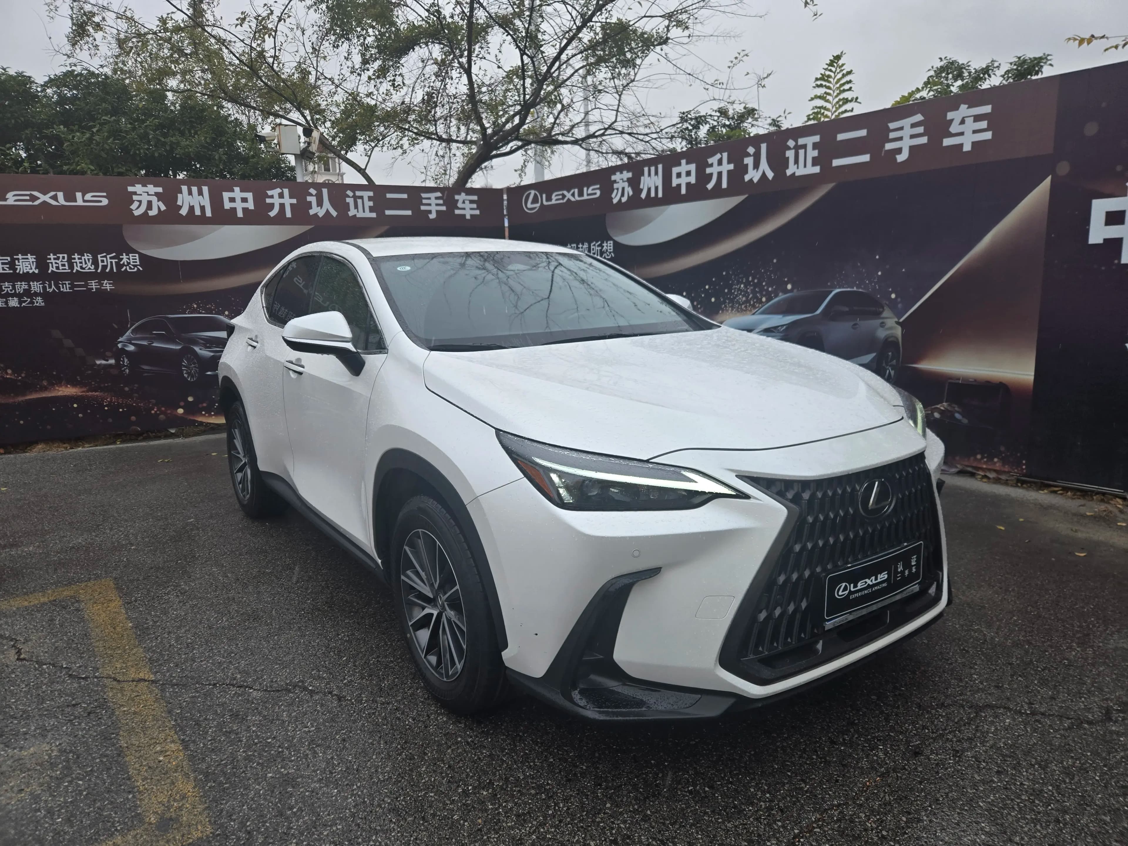 Lexus NX 2023 г. 41022 км. — фото 3