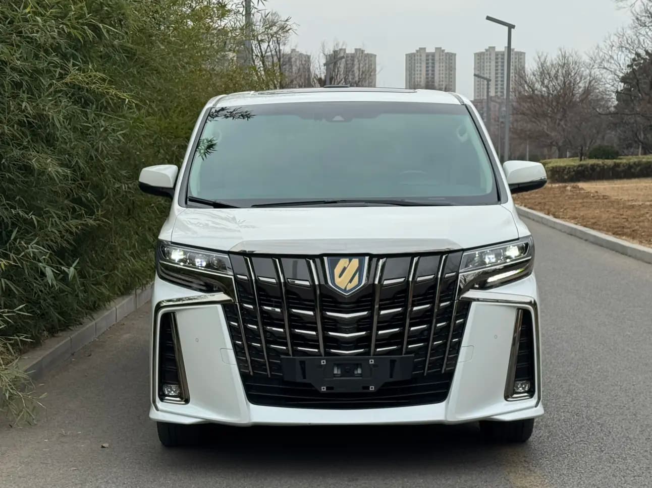 Toyota Alphard 2023 г. 47035 км. — фото 2