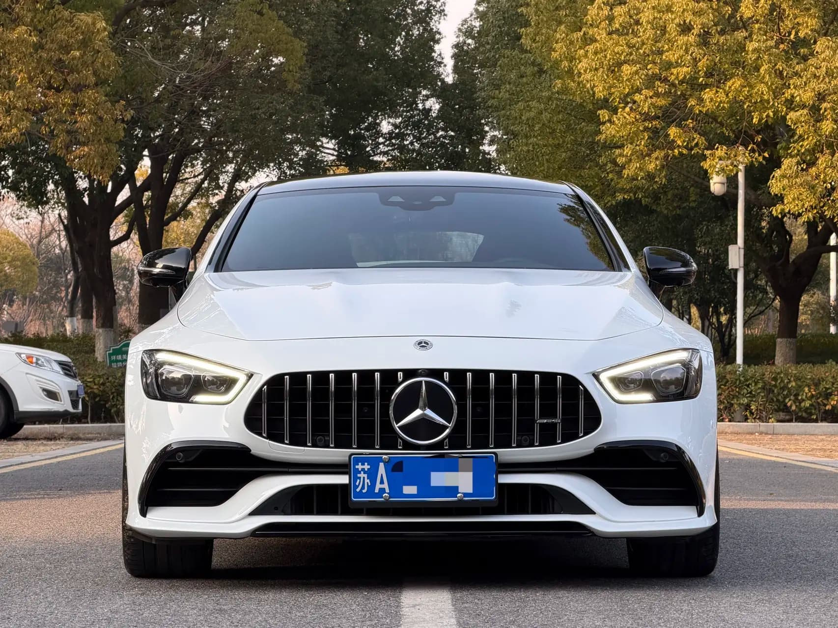 Mercedes-Benz AMG GT 2021 г. 67087 км. — фото 2