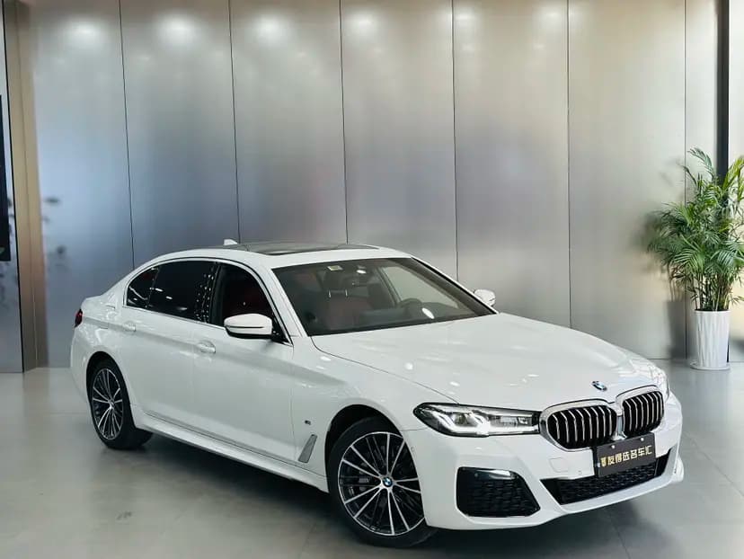 BMW 5 Series 2021 г. 33045 км. — фото 3