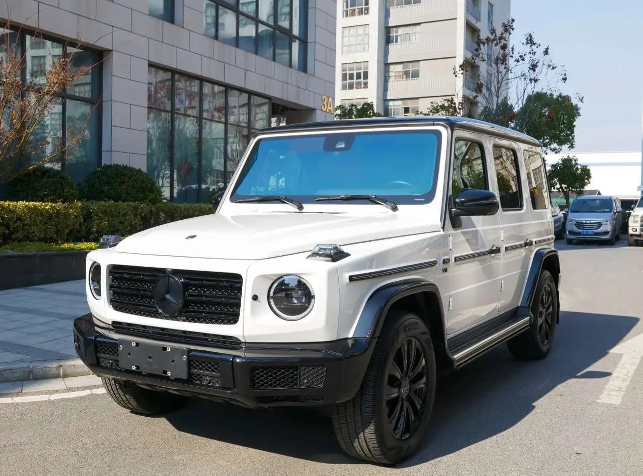 Mercedes-Benz Mercedes Benz G Class 2024 г. 17119 км.
