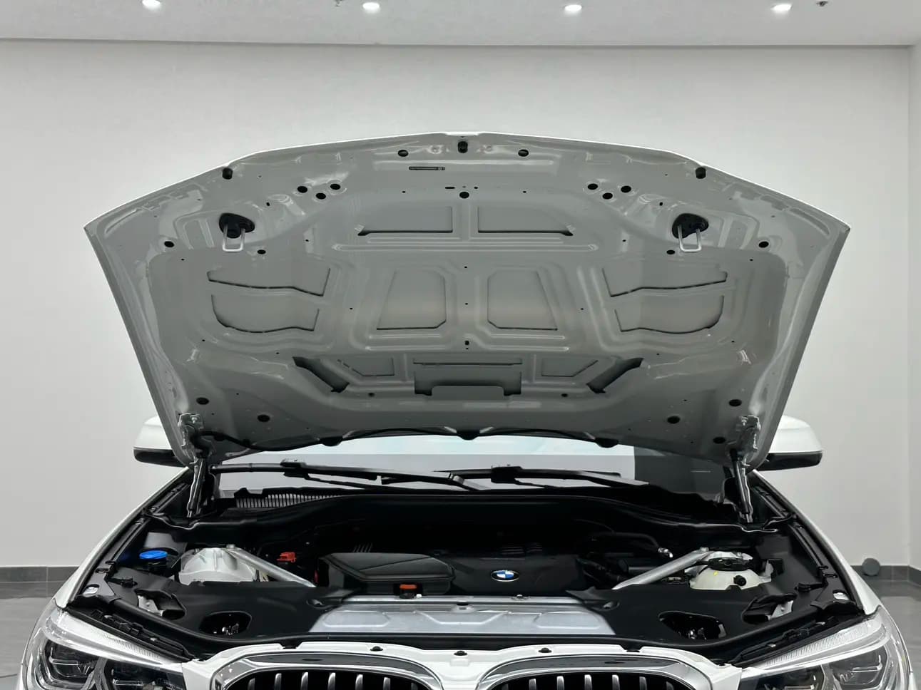 BMW X3 30i 2.0 xDrive Steptronic (249 л.с.) 2021 г. 78001 км — фото 7