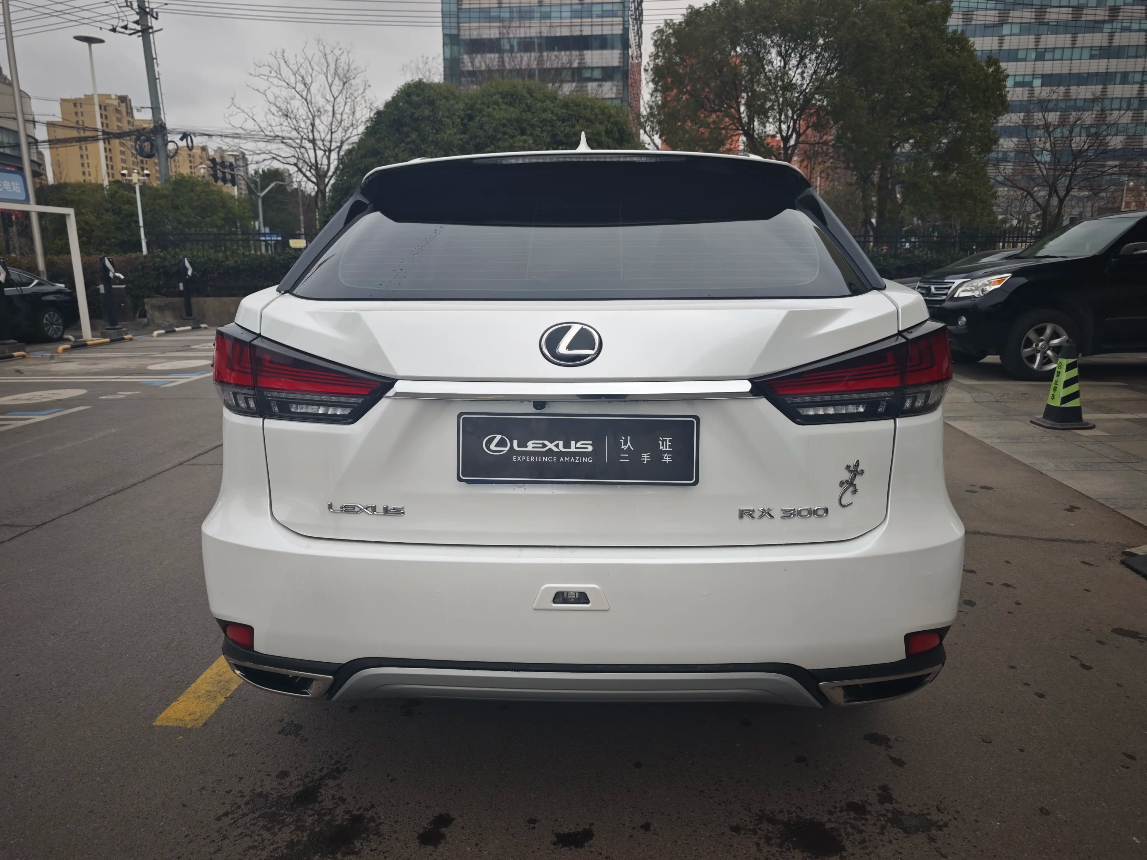 Lexus RX 2021 г. 65655 км. — фото 5