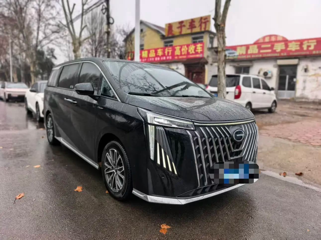 GAC Trumpchi M8 2025 г. 17014 км. — фото 2
