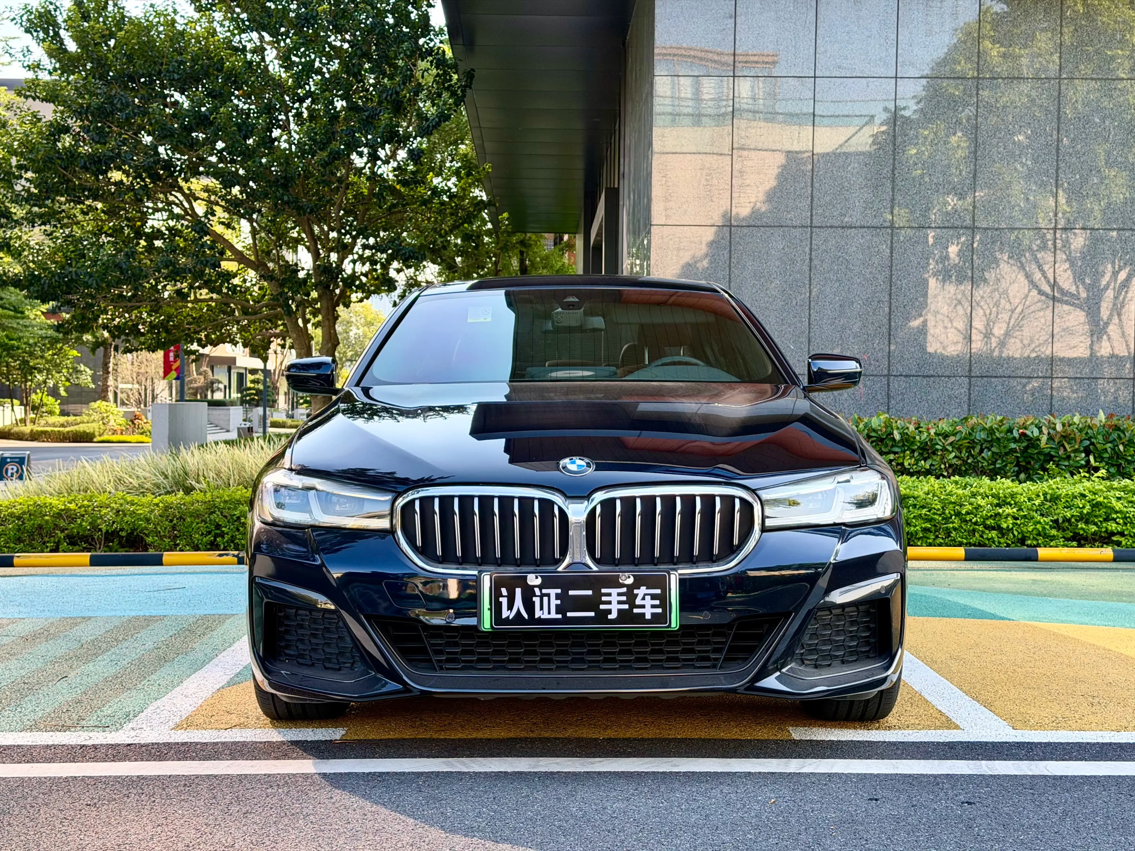 BMW 5 Series PHEV 2021 г. 99643 км. — фото 2