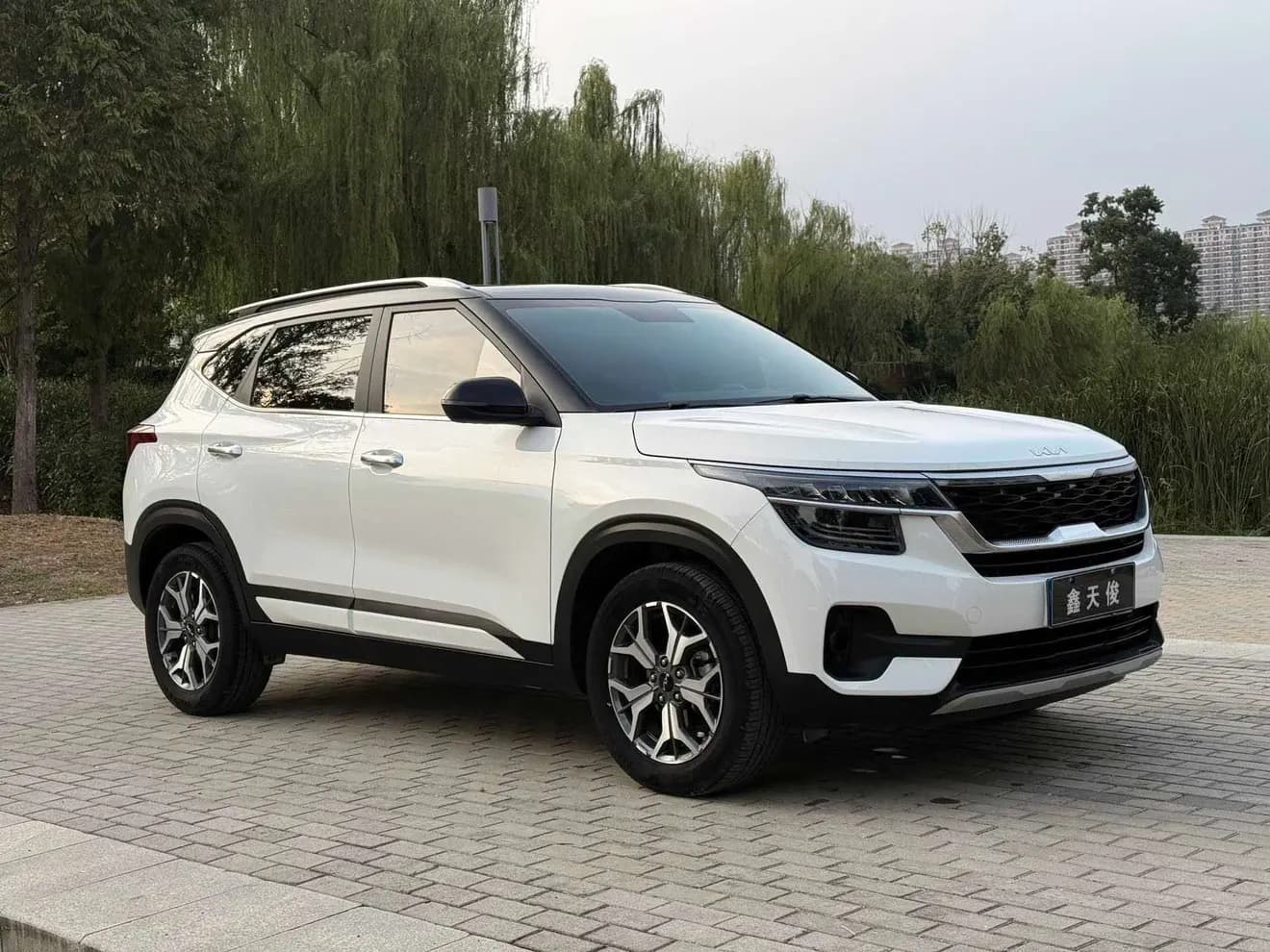 Kia Run proudly 2022 г. 45076 км. — фото 3