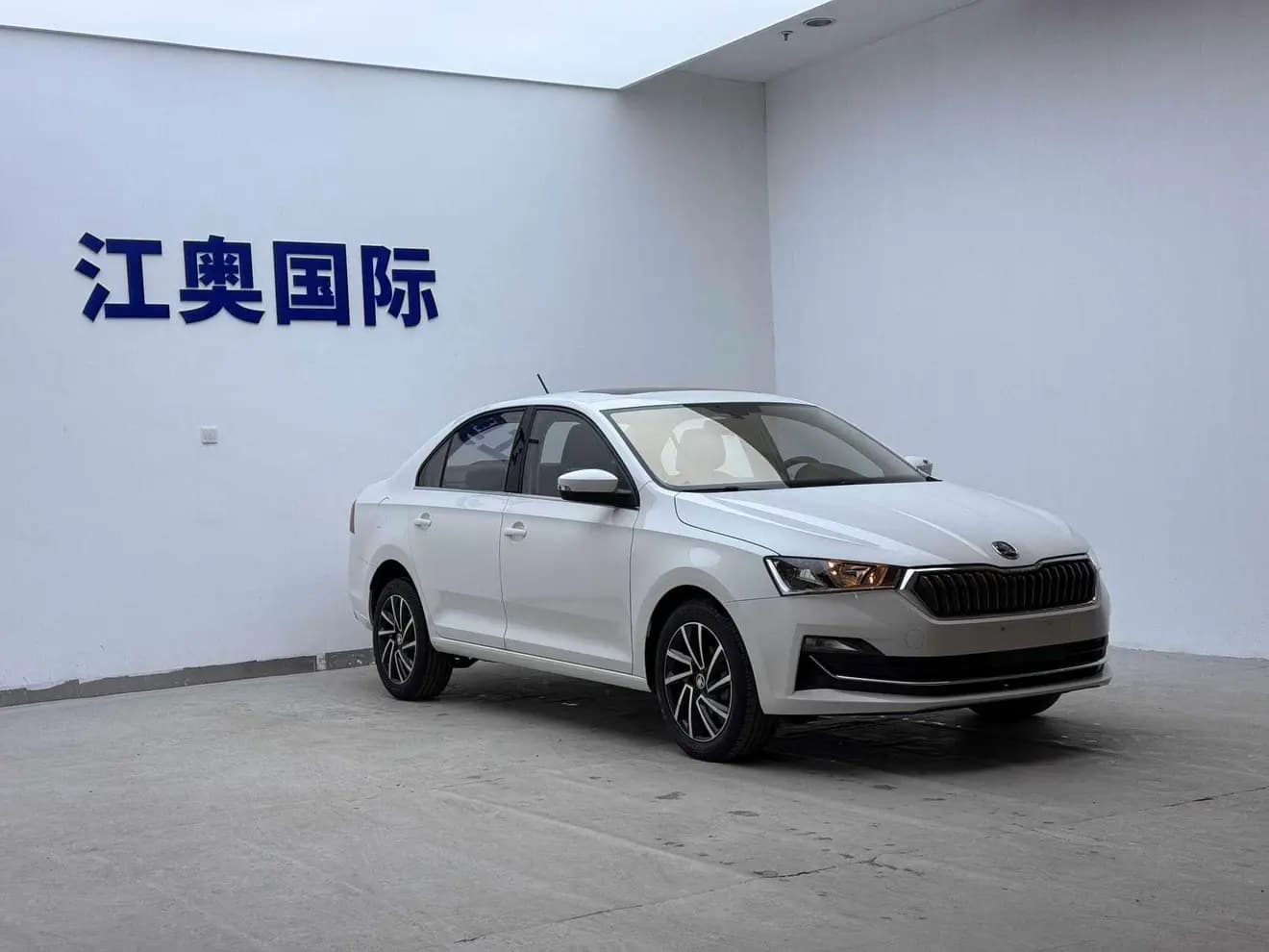 Skoda Xin Rui 2022 г. 13105 км. — фото 3