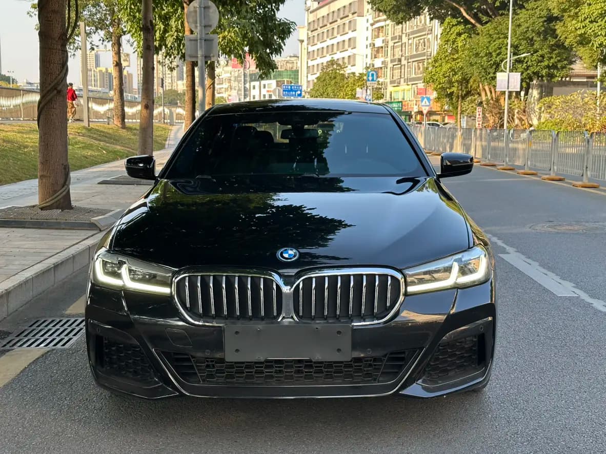 BMW 5 Series PHEV 2022 г. 99067 км. — фото 2