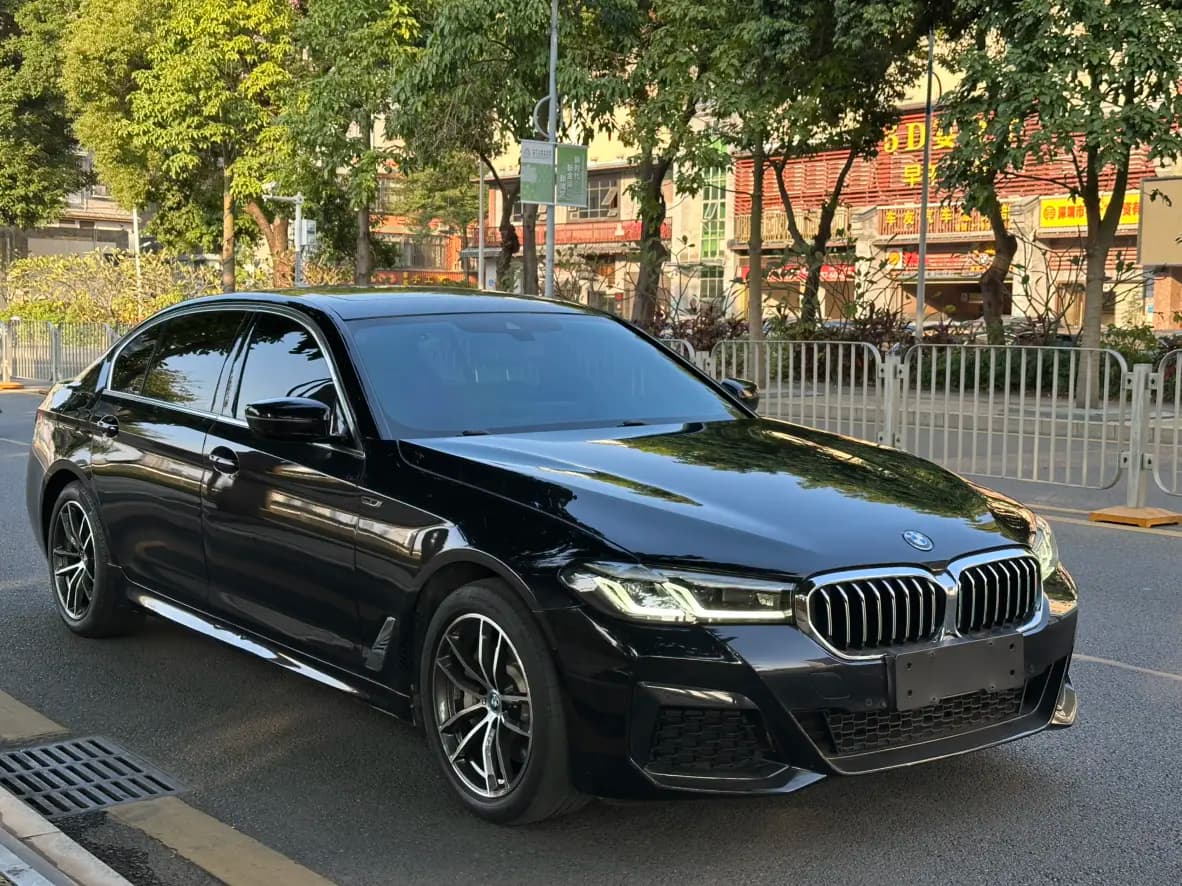 BMW 5 Series PHEV 2022 г. 99067 км. — фото 3