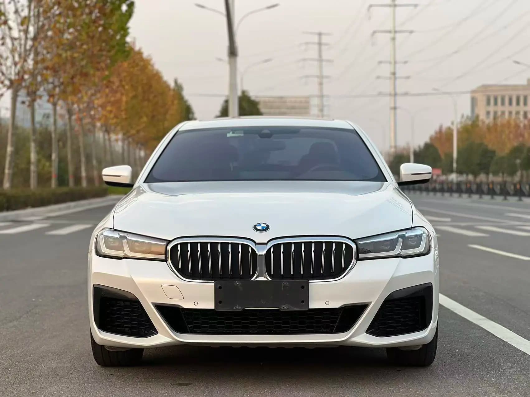 BMW 5 Series 2021 г. 59057 км. — фото 2