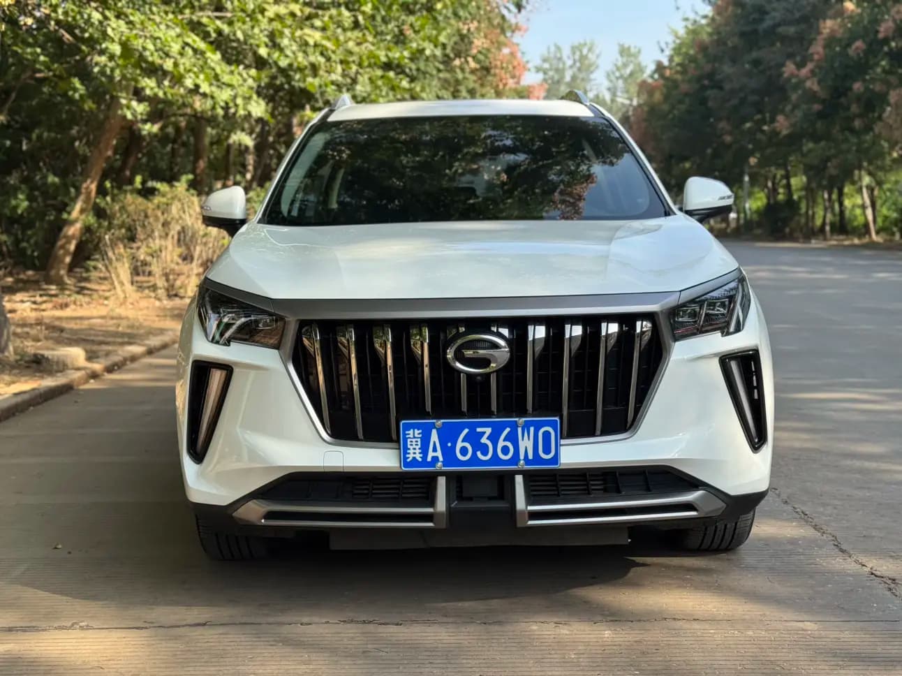 GAC Trumpchi GS4 PLUS 2021 г. 51101 км. — фото 2