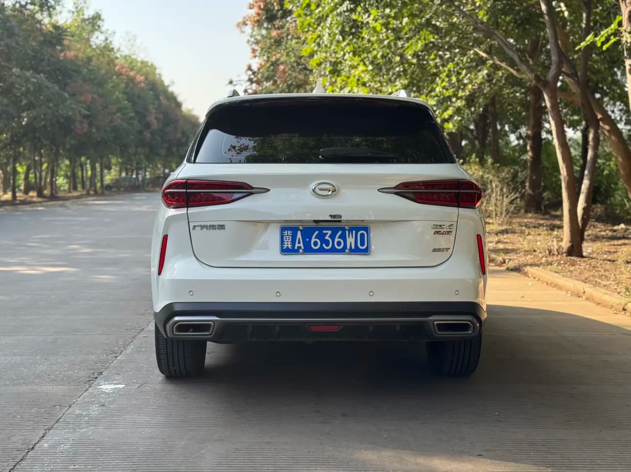 GAC Trumpchi GS4 PLUS 2021 г. 51101 км. — фото 5