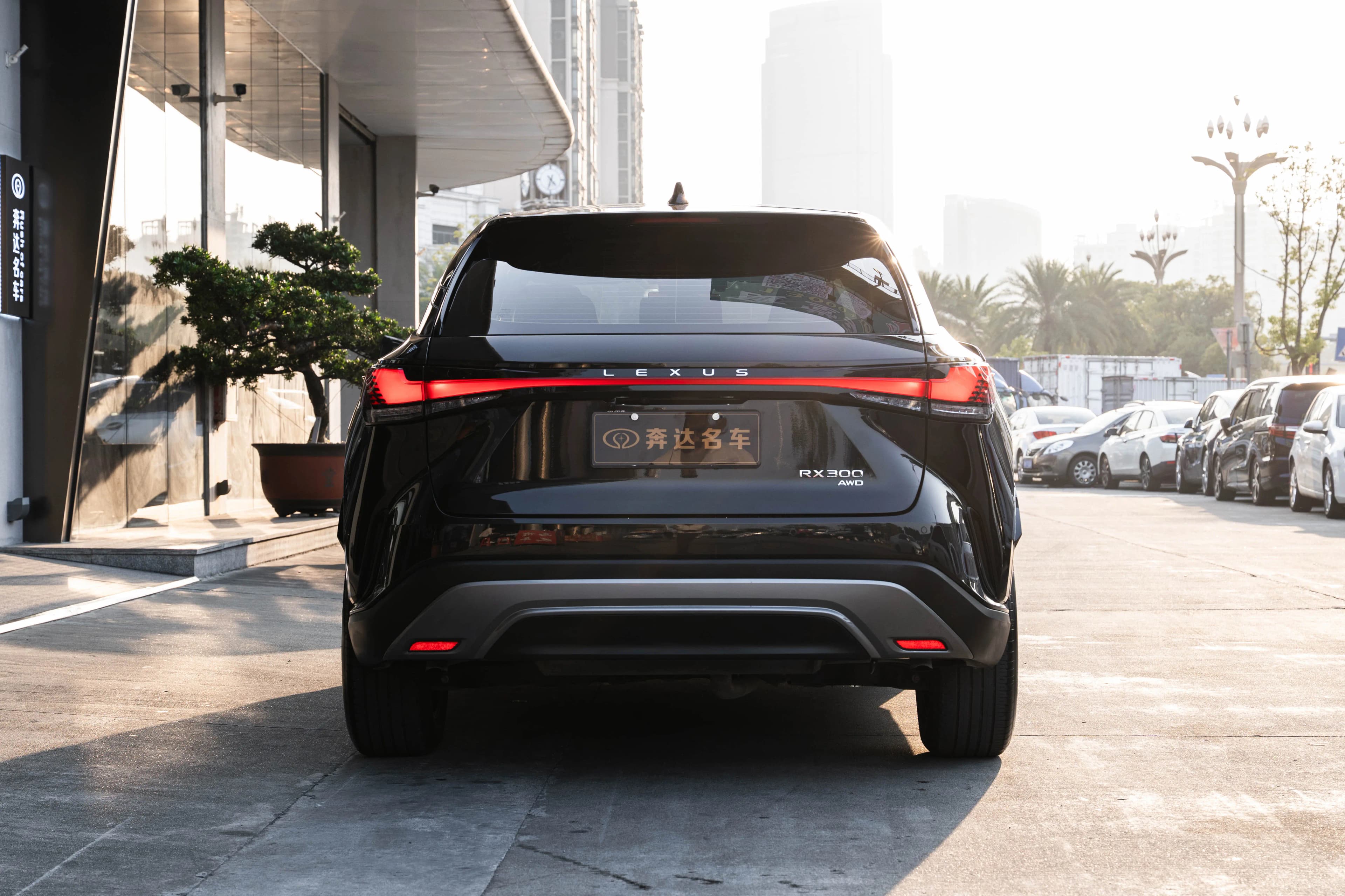 Lexus RX 2024 г. 22457 км. — фото 3