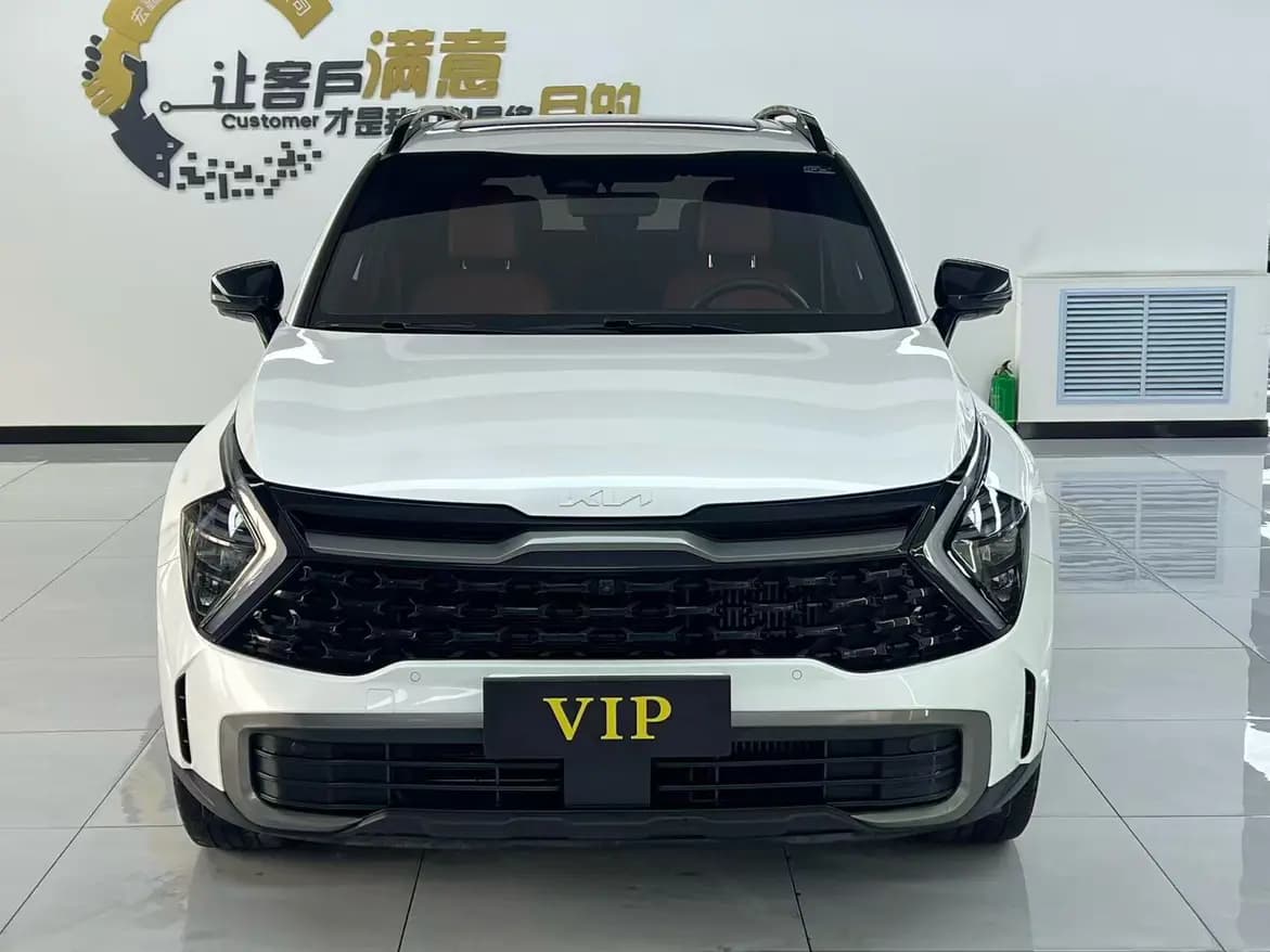 Kia Lion Platinum Expands the Boundary 2022 г. 37020 км. — фото 2