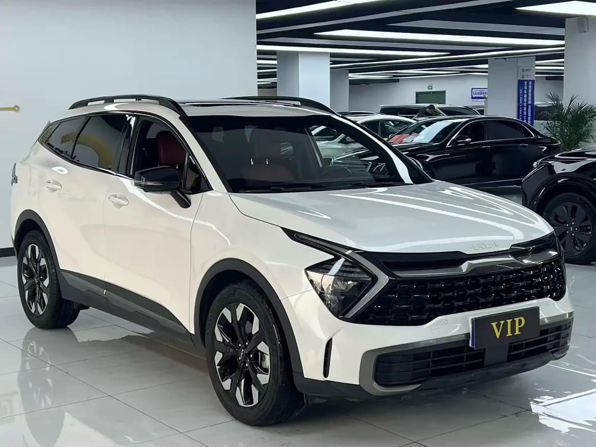 Kia Lion Platinum Expands the Boundary 2022 г. 37020 км. — фото 3