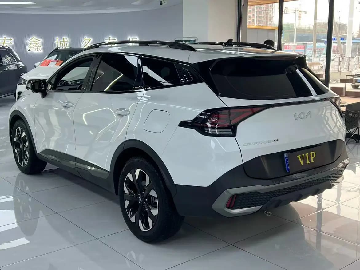 Kia Lion Platinum Expands the Boundary 2022 г. 37020 км. — фото 4