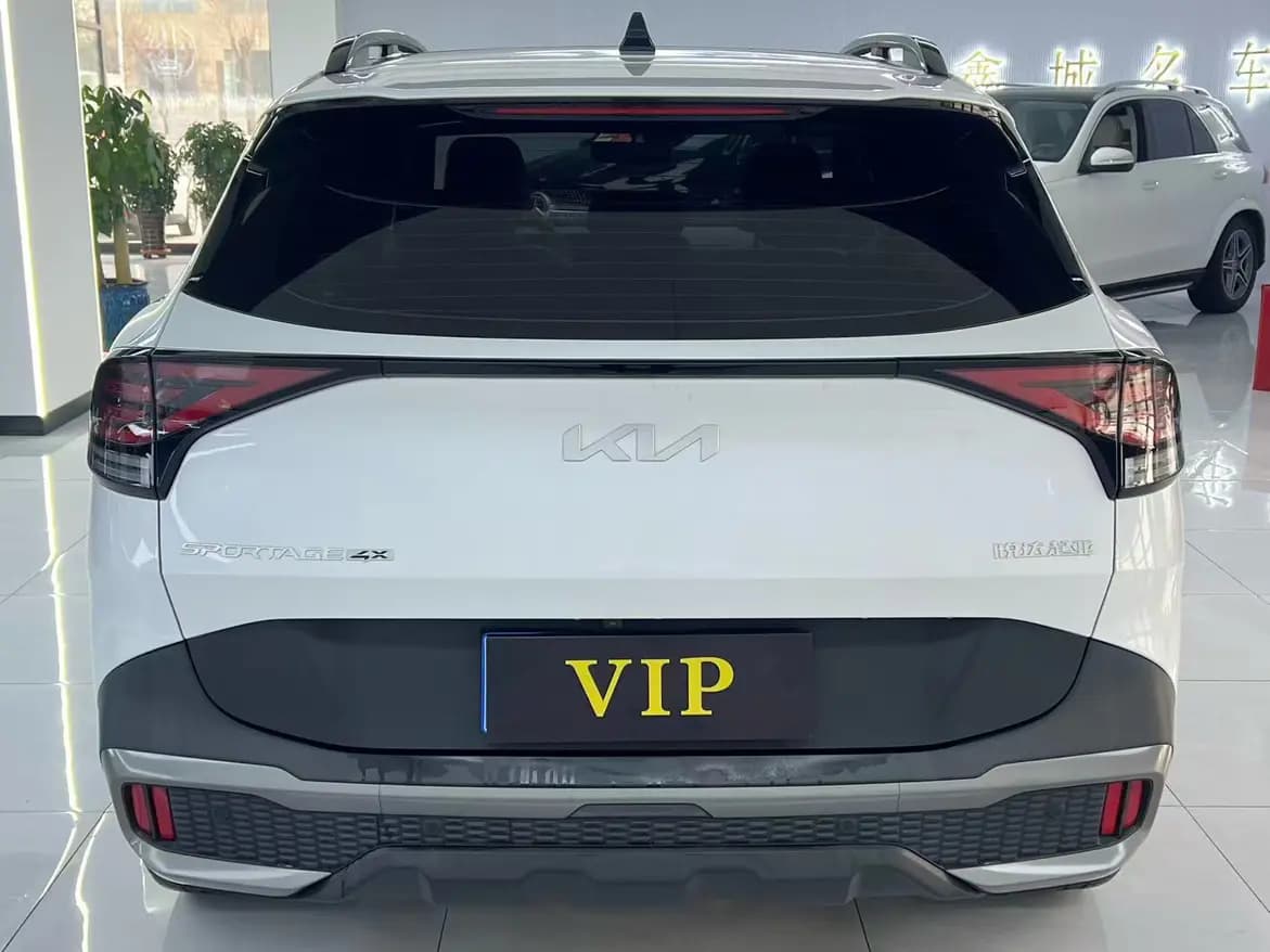 Kia Lion Platinum Expands the Boundary 2022 г. 37020 км. — фото 5