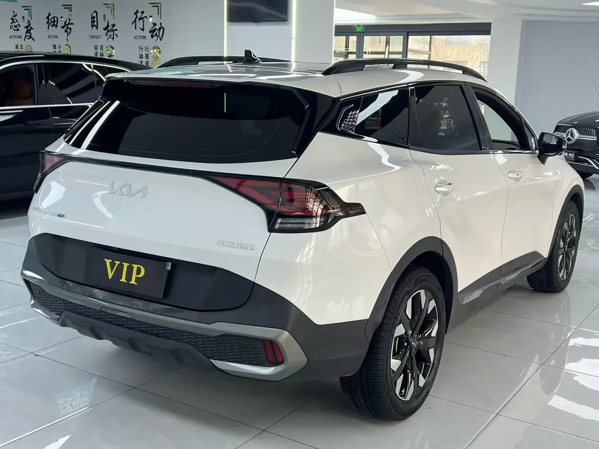 Kia Lion Platinum Expands the Boundary 2022 г. 37020 км. — фото 6