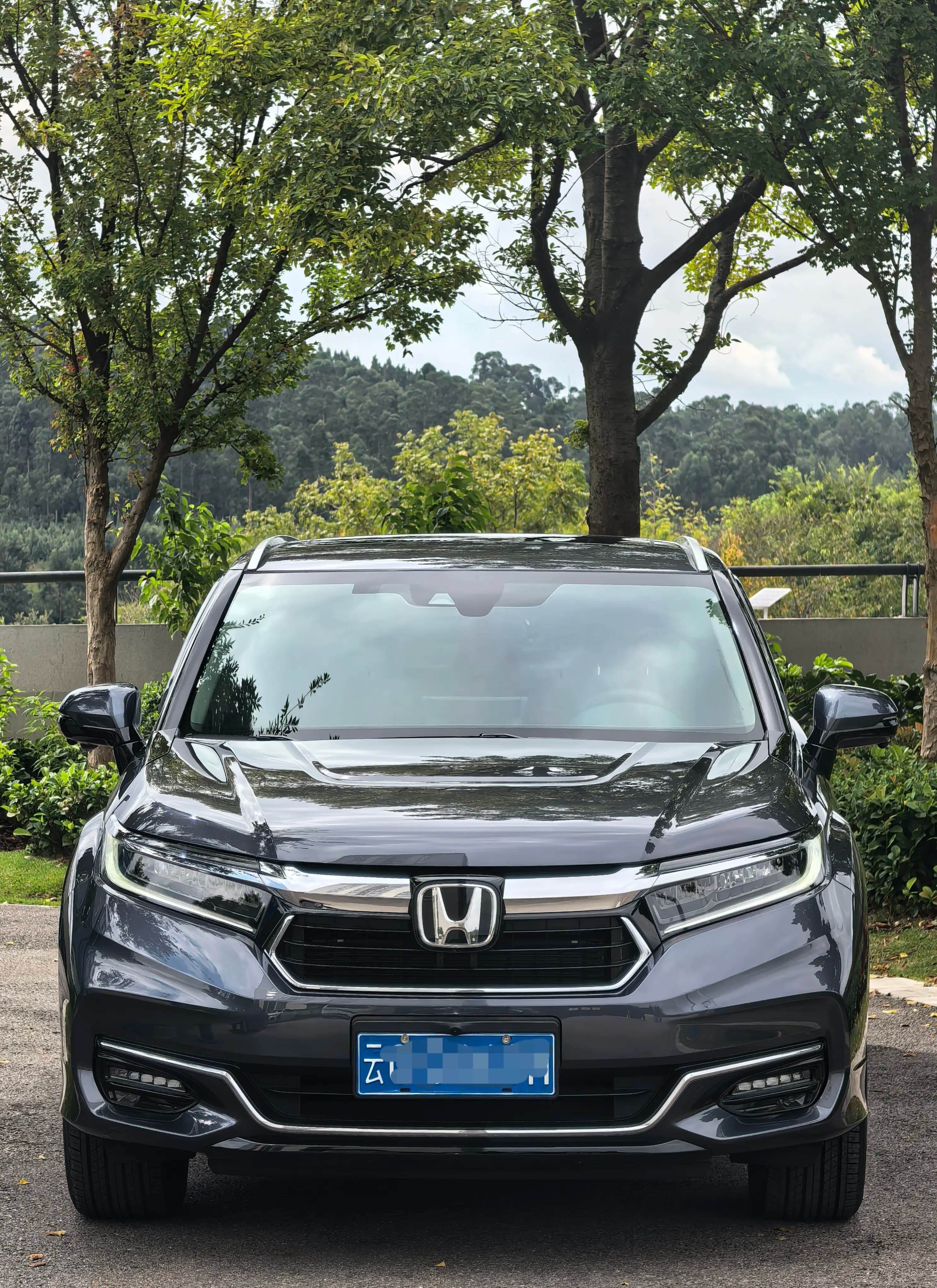Honda Avancier 2024 г. 9056 км. — фото 2