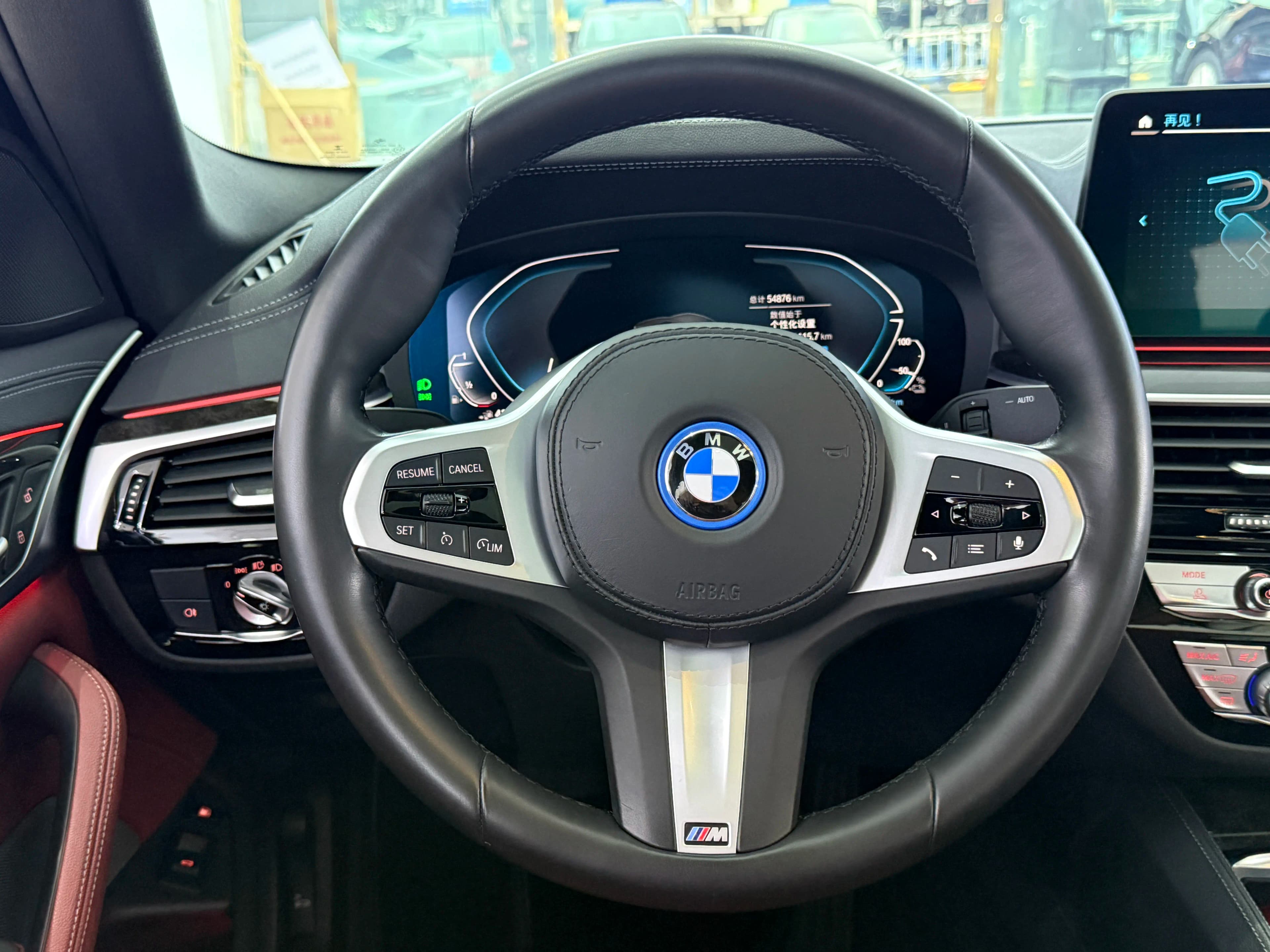 BMW 5 Series PHEV 2022 г. 54094 км. — фото 10