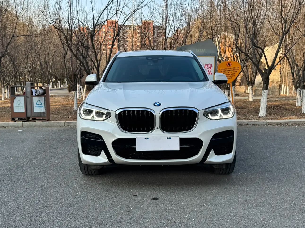 BMW X3 20i 2.0 xDrive Steptronic (184 л.с.) 2021 г. 78002 км — фото 2