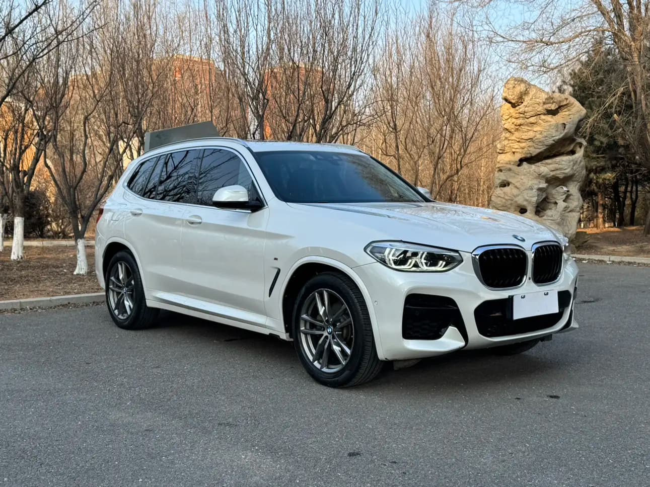 BMW X3 20i 2.0 xDrive Steptronic (184 л.с.) 2021 г. 78002 км — фото 3