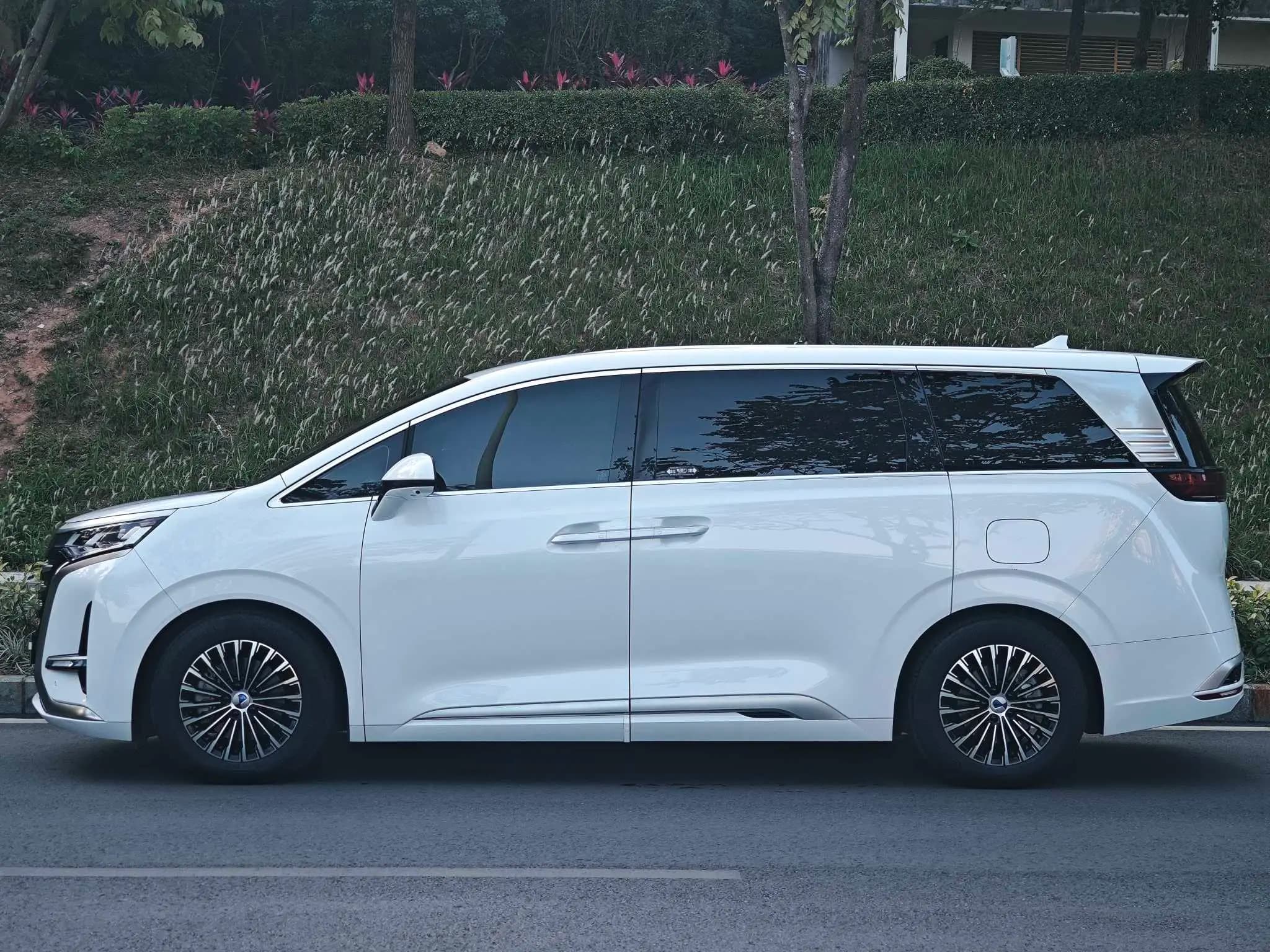 Denza D9 DM 2024 г. 42049 км. — фото 3