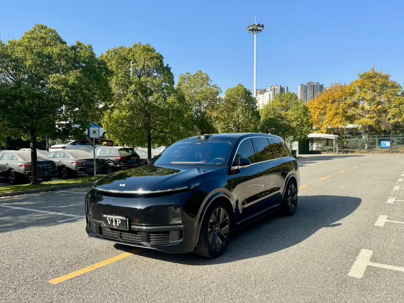 Lixiang L9 2023 г. 46075 км.