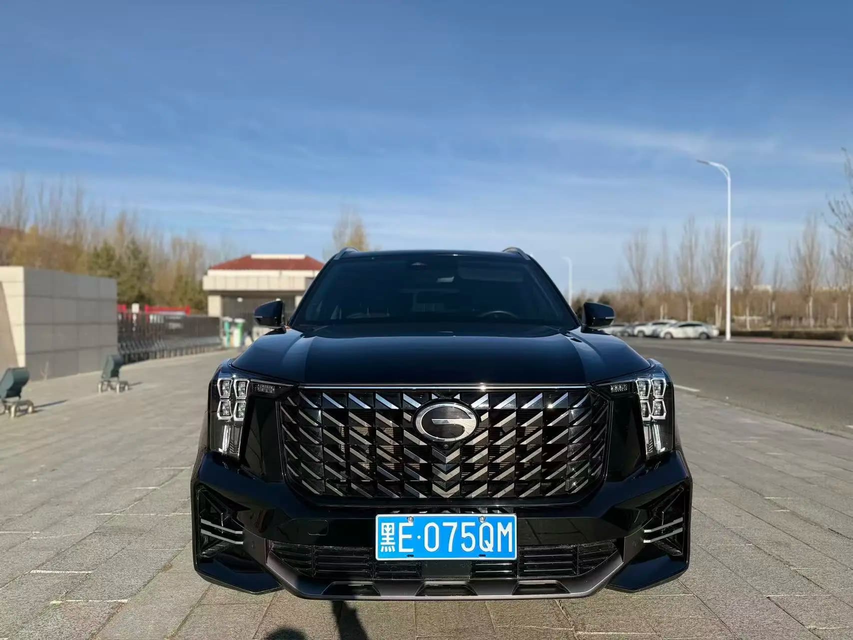 GAC Trumpchi GS8 2024 г. 42088 км. — фото 2
