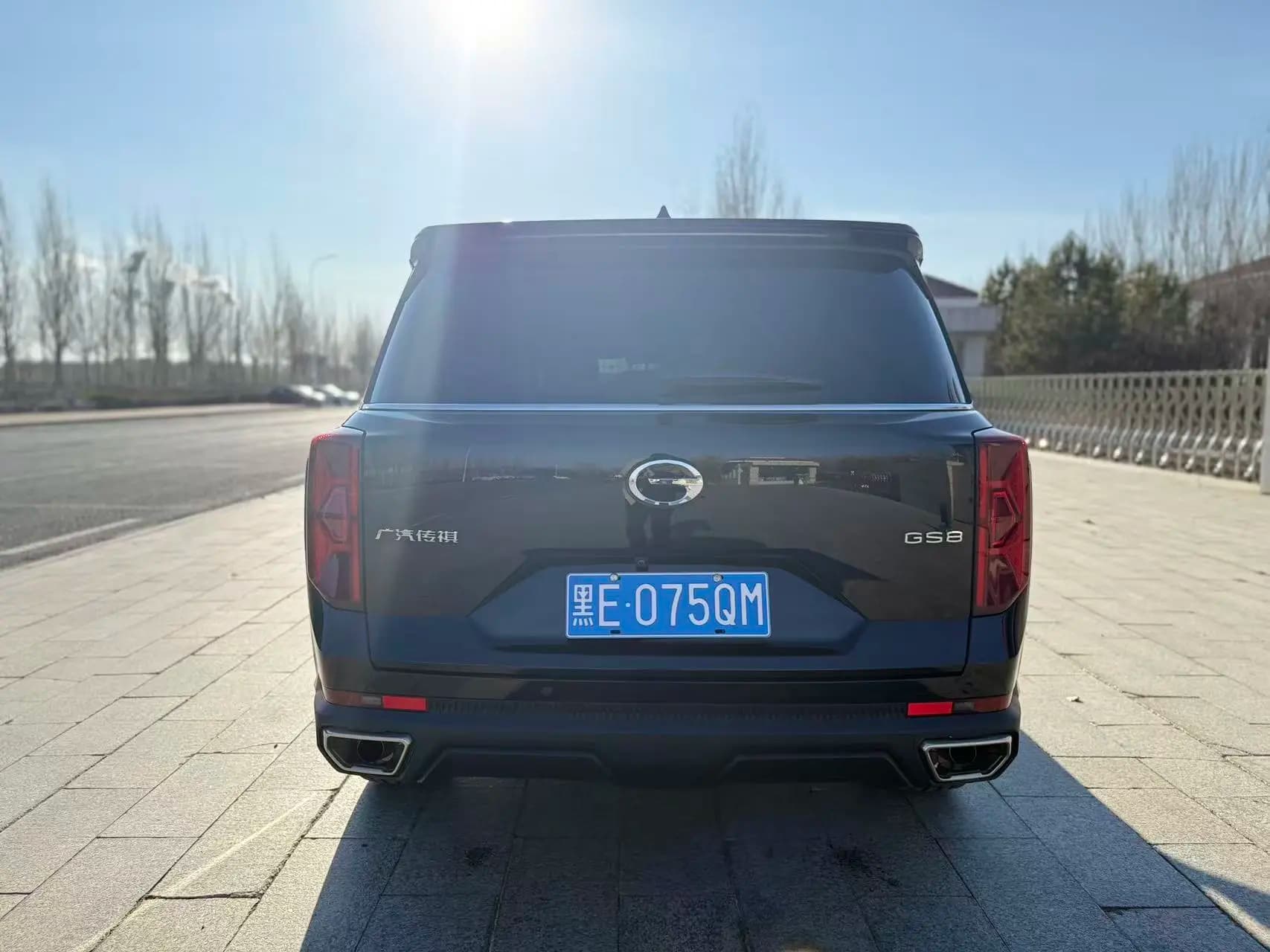 GAC Trumpchi GS8 2024 г. 42088 км. — фото 6