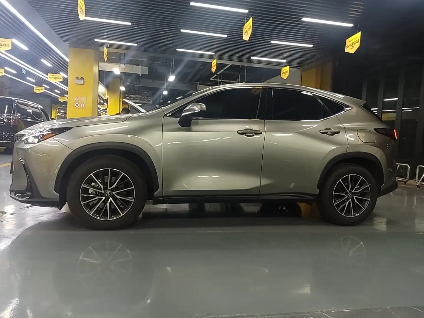 Lexus NX 2025 г. 30135 км. — фото 2