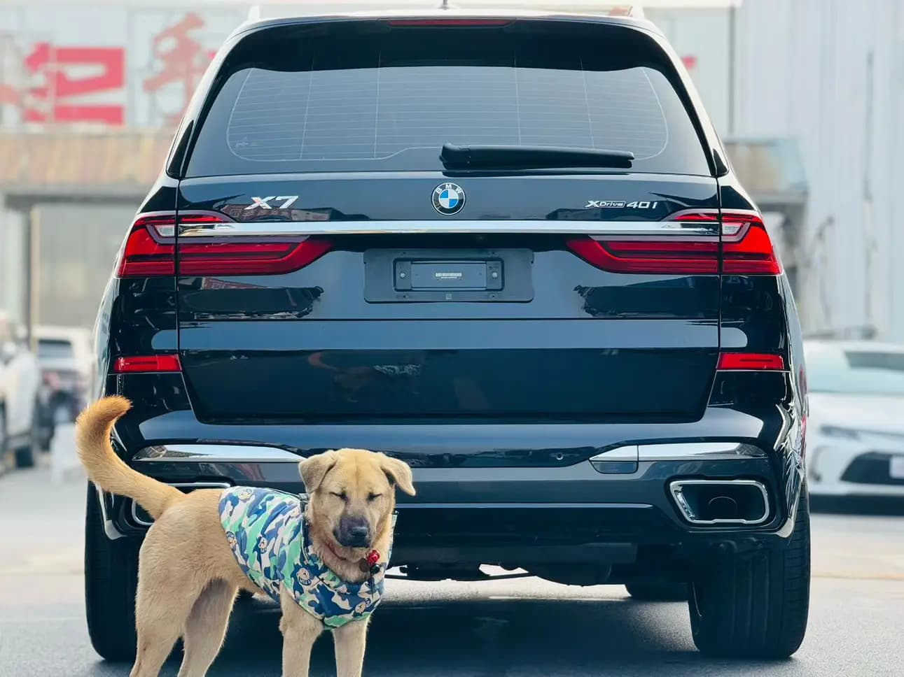 BMW X7 2021 г. 90124 км. — фото 5