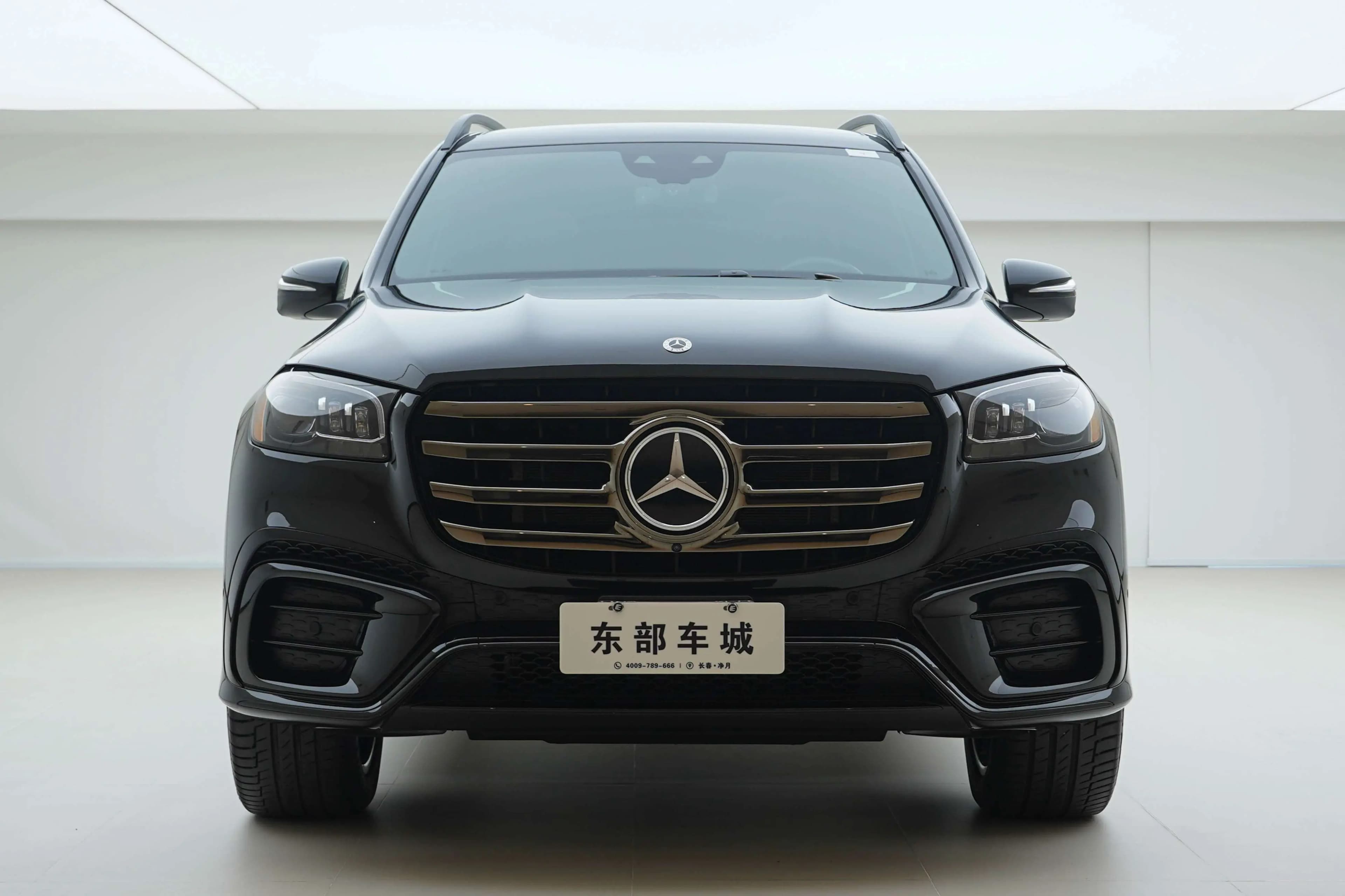 Mercedes-Benz Mercedes Benz GLS 2024 г. 29080 км. — фото 2