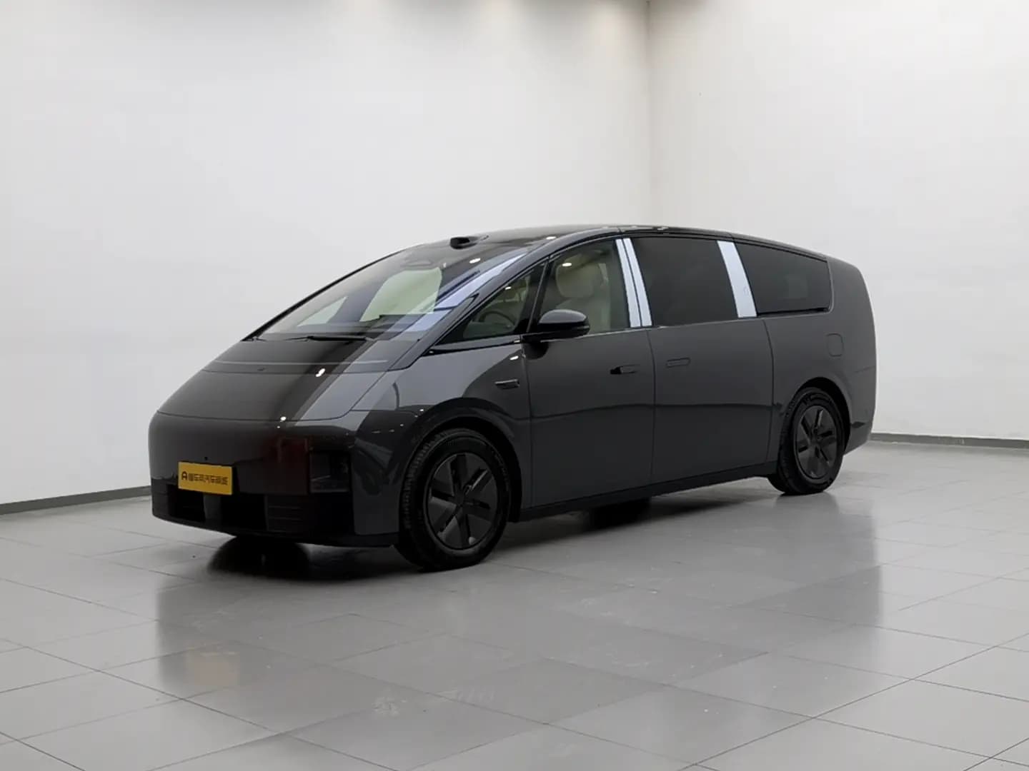 Lixiang MEGA 2025 г. 647 км.