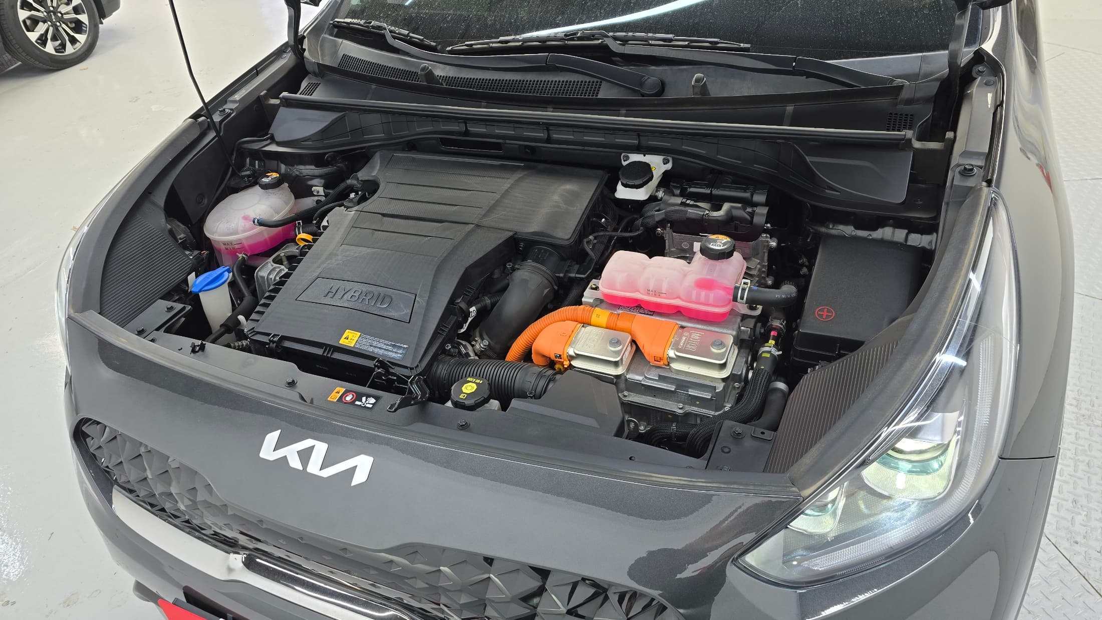 Kia Sportage — фото 6