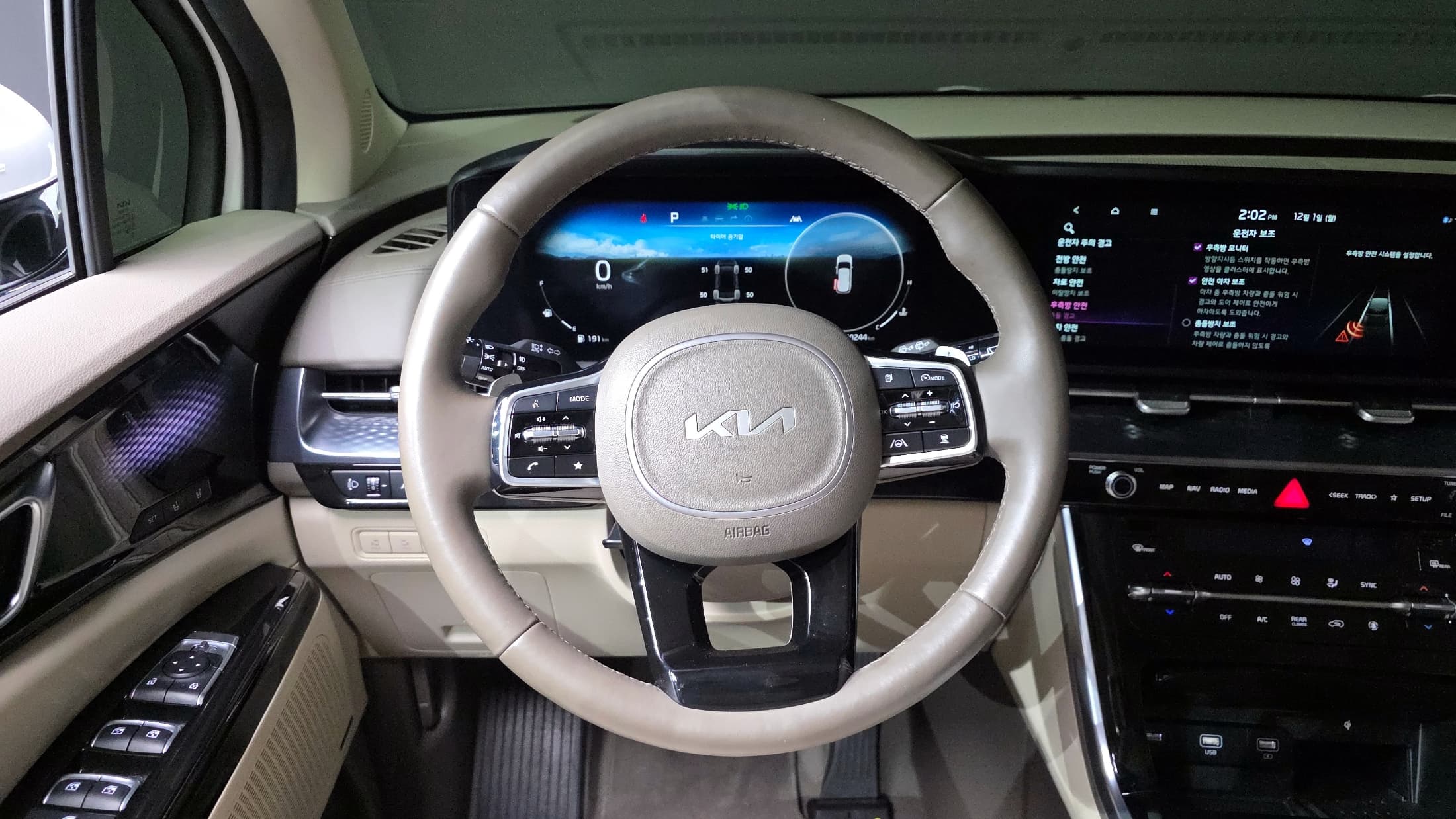 Kia Carnival — фото 13