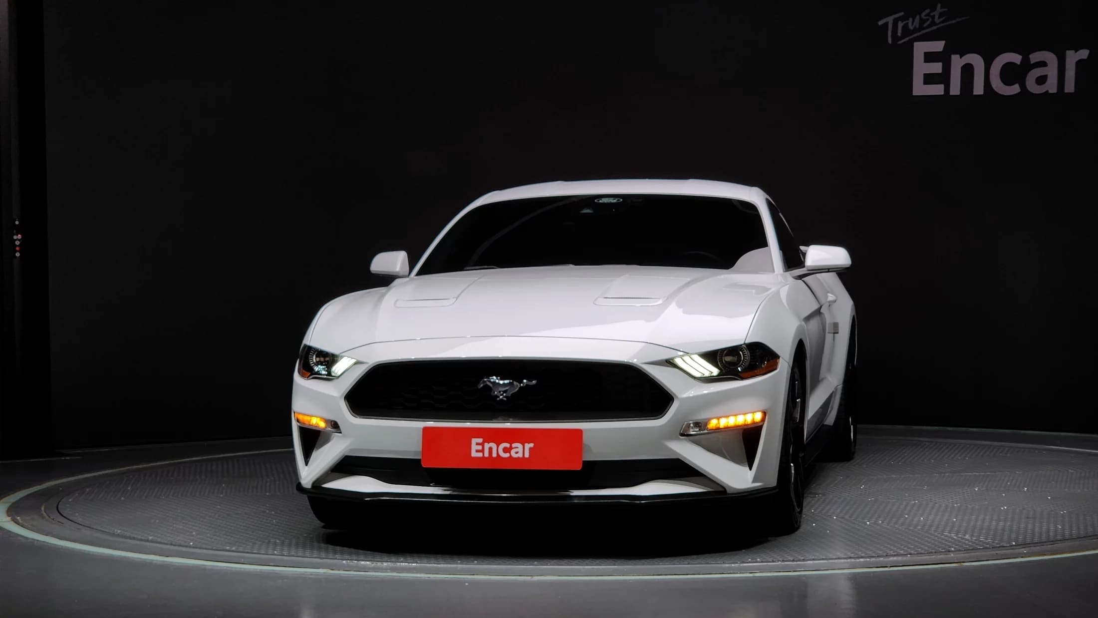 Ford MUSTANG Coupe, 2021 г. 114394 км. — фото 3
