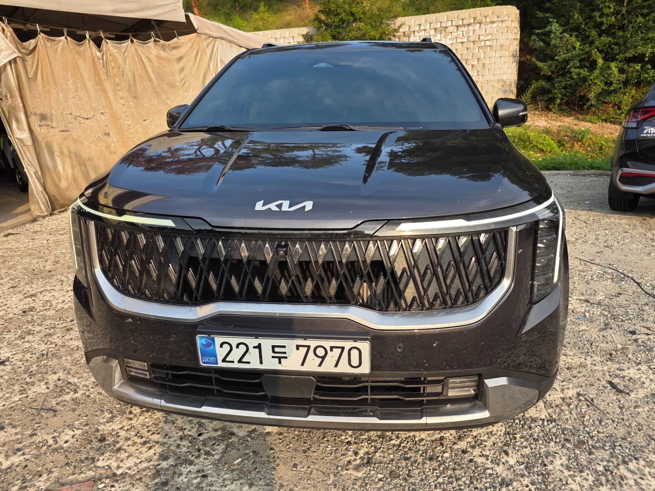 Kia Carnival 9-Seater Signature, 2024 г. 52642 км. — фото 2
