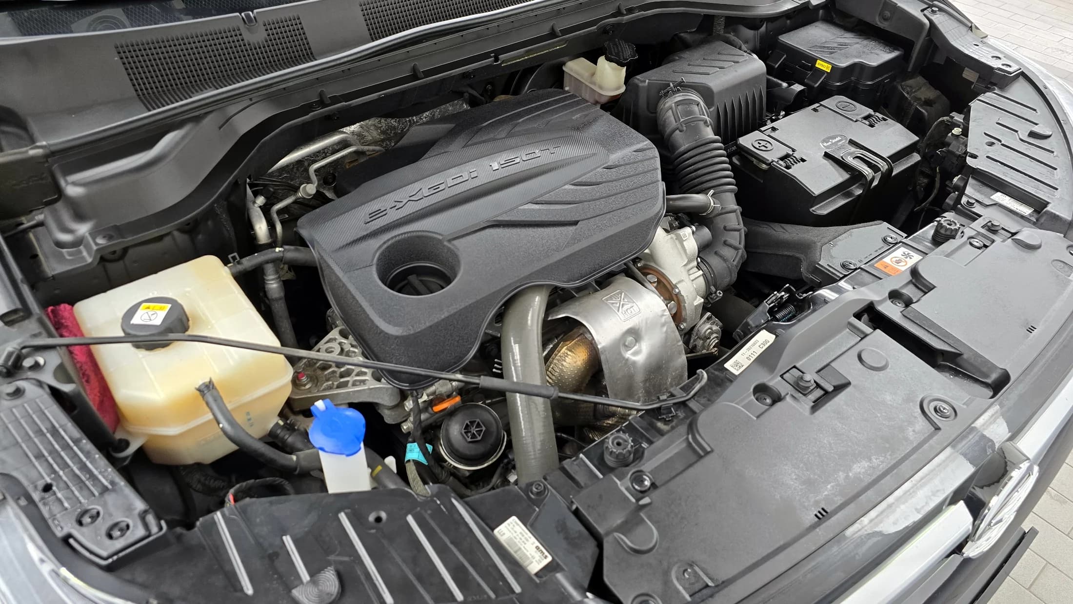 SsangYong KORANDO Gasoline 1.5 2WD C5 Plus, 2021 г. 40150 км. — фото 6