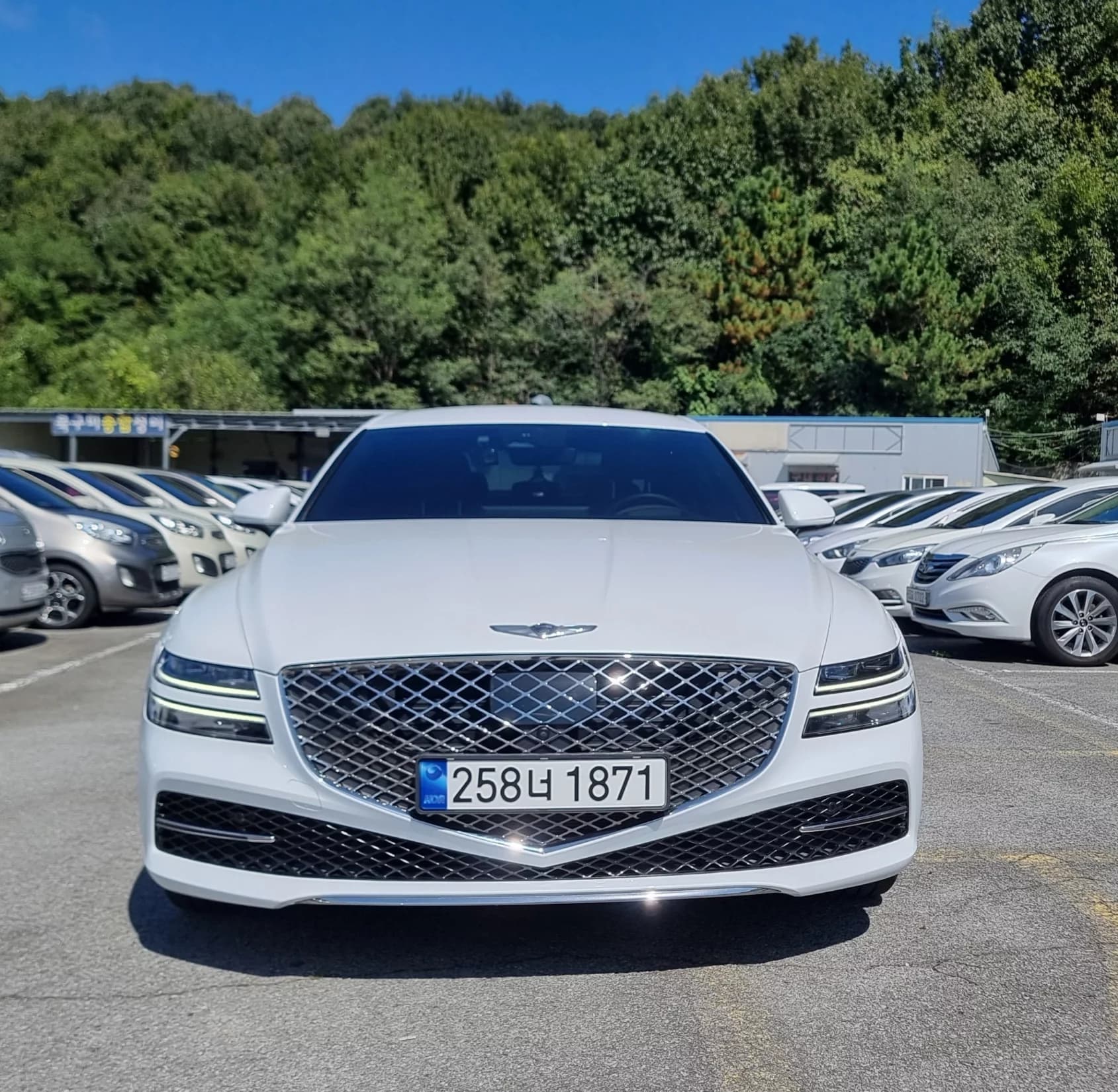 Genesis G80 Gasoline 2.5 Turbo 2WD, 2023 г. 32234 км. — фото 2